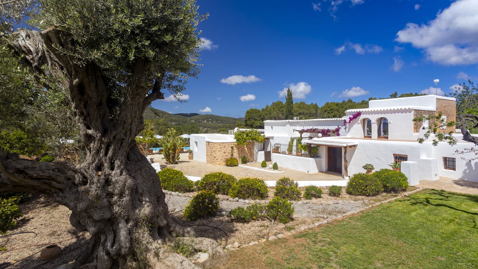 Villa Ibicenco - luxury property in Spain