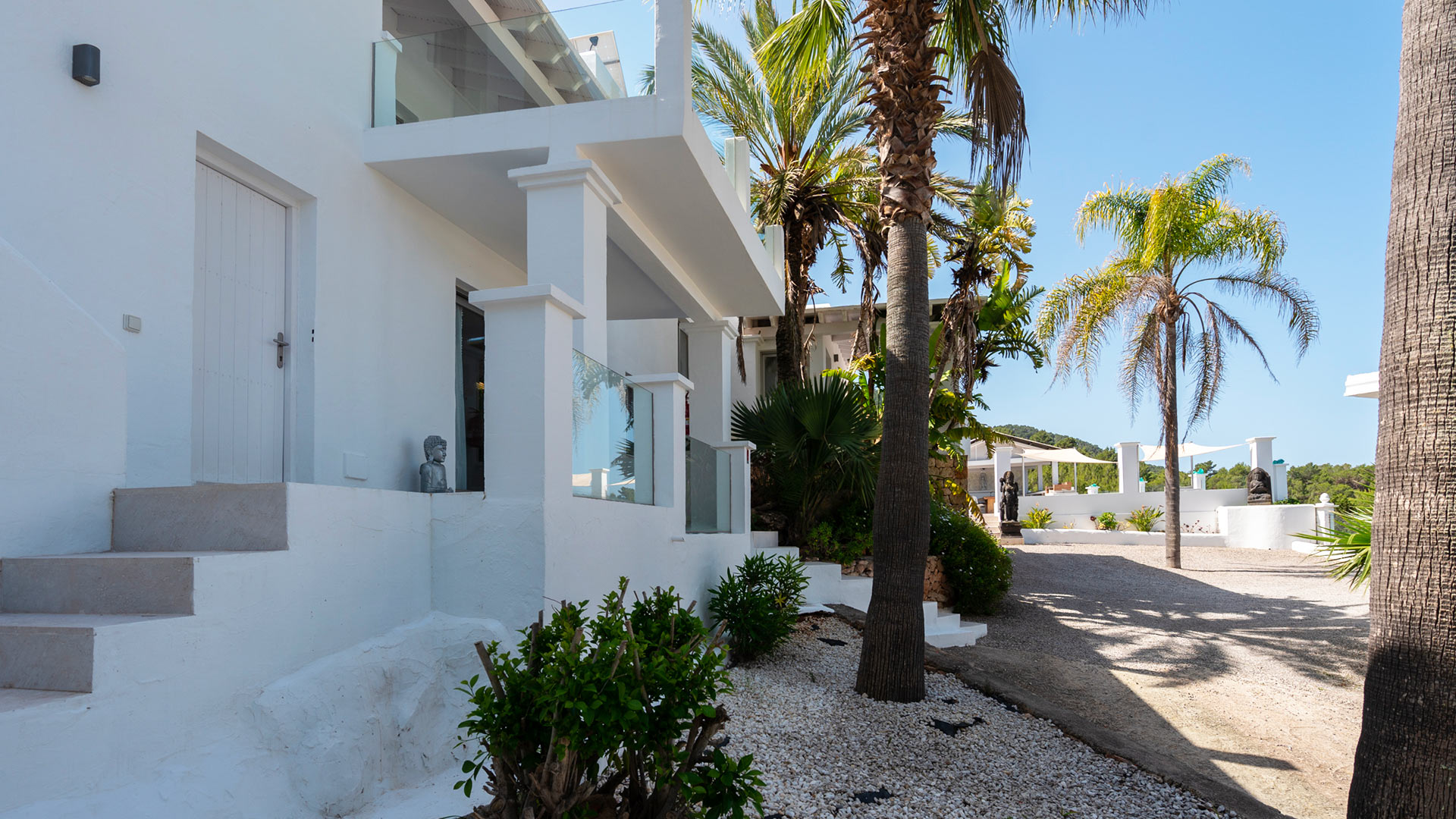 White Sunset - Image 22