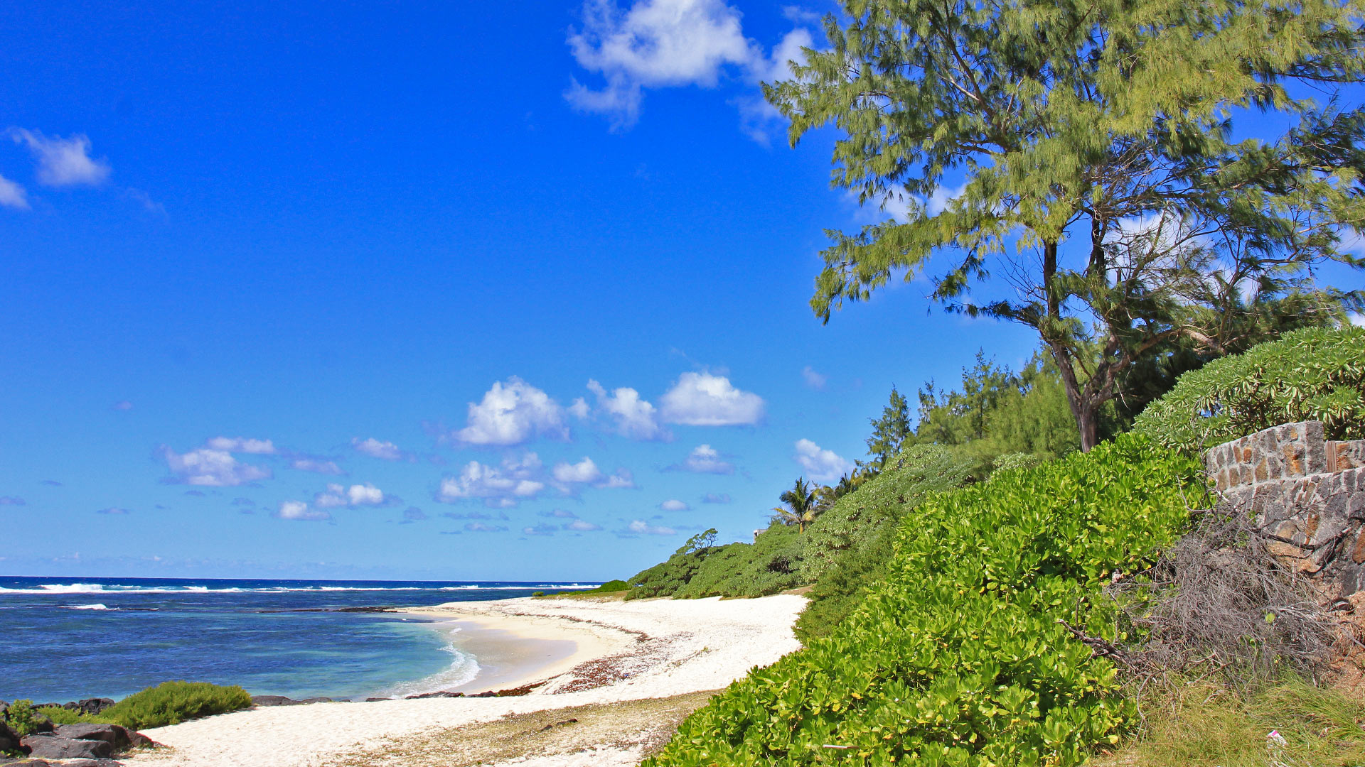 Villa Vetyver - Villa rental in Mauritius East, Poste ...