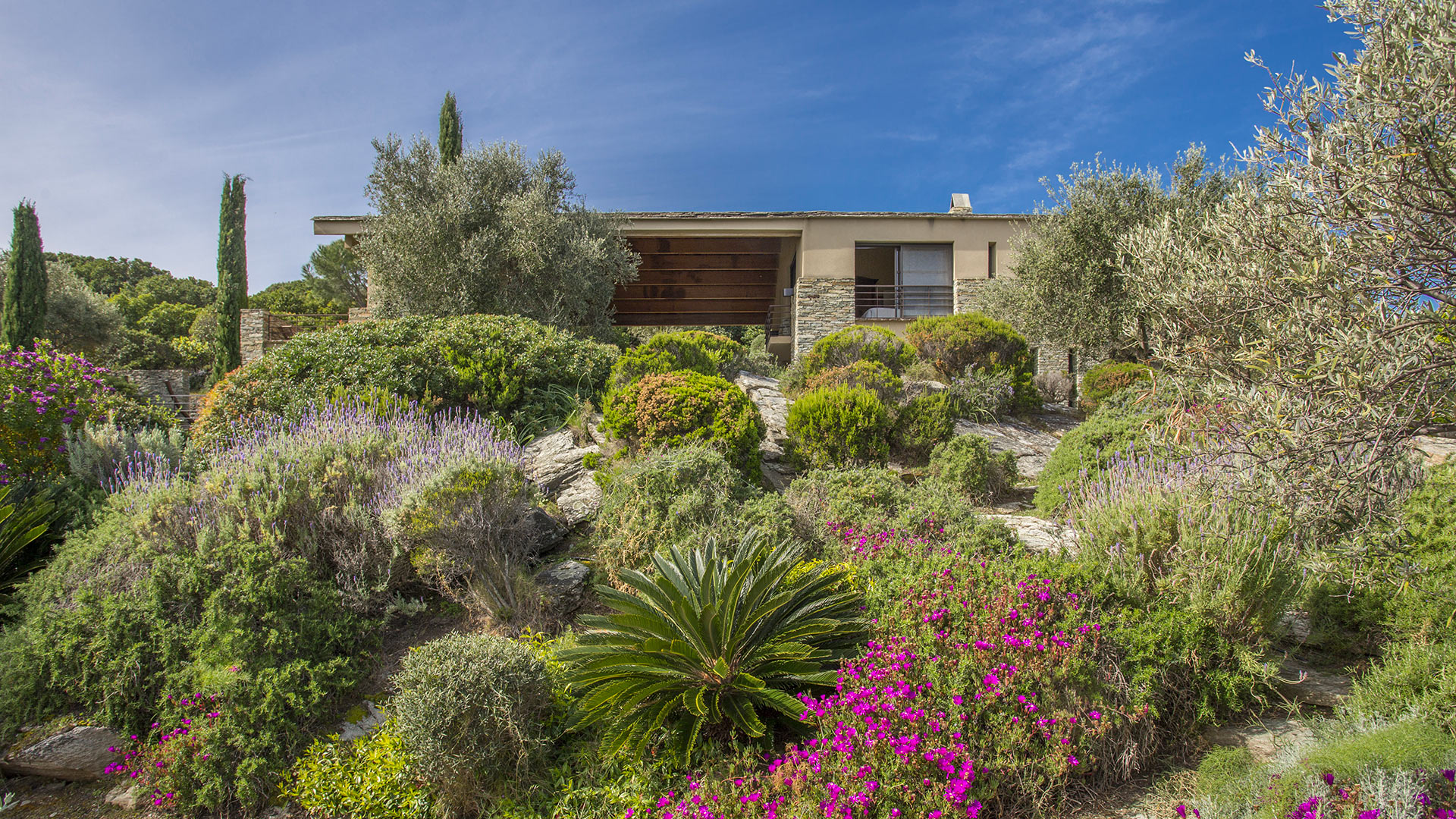 Villa Jasmin - Image 31
