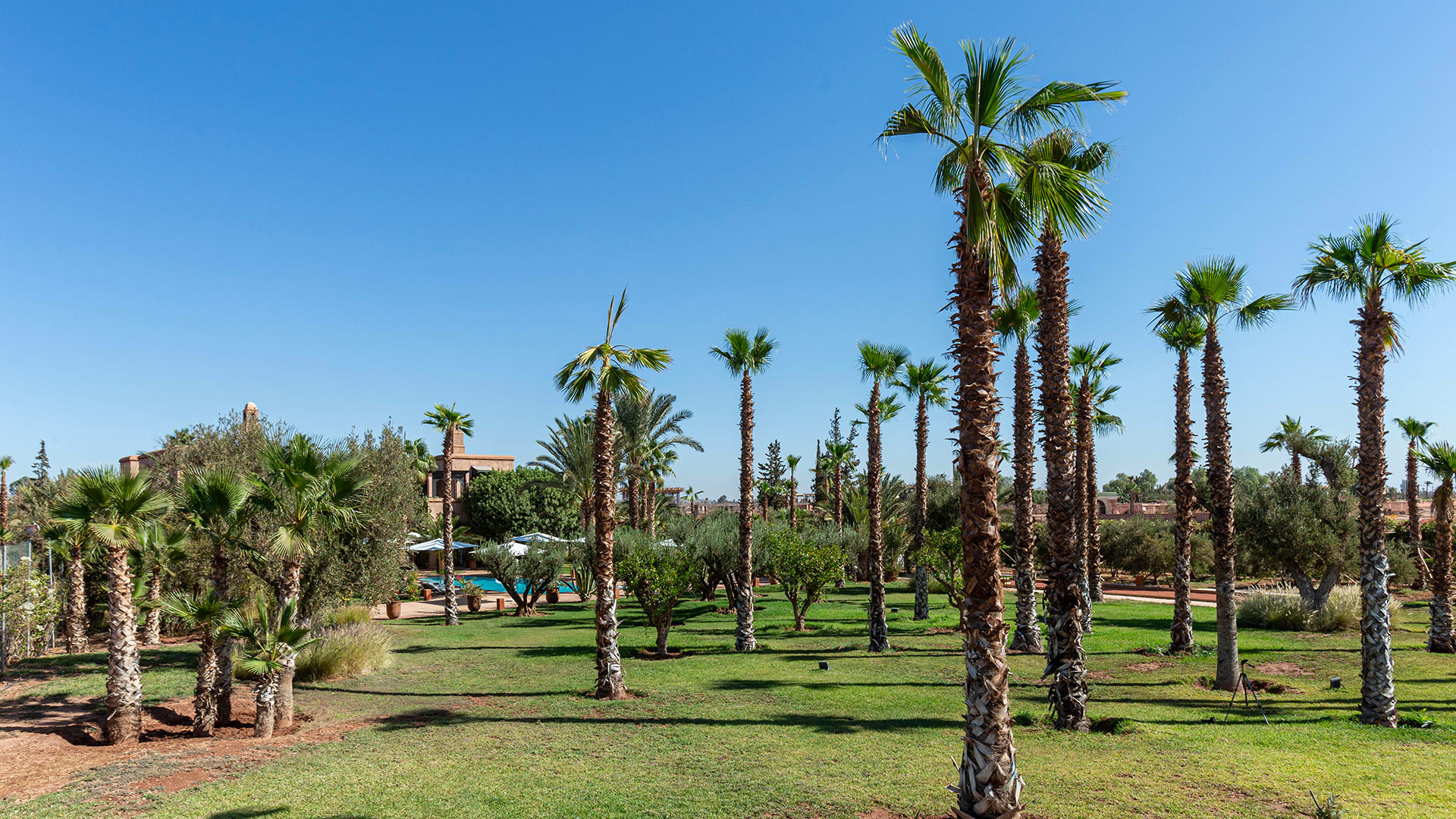 Dar Marja — Marrakech