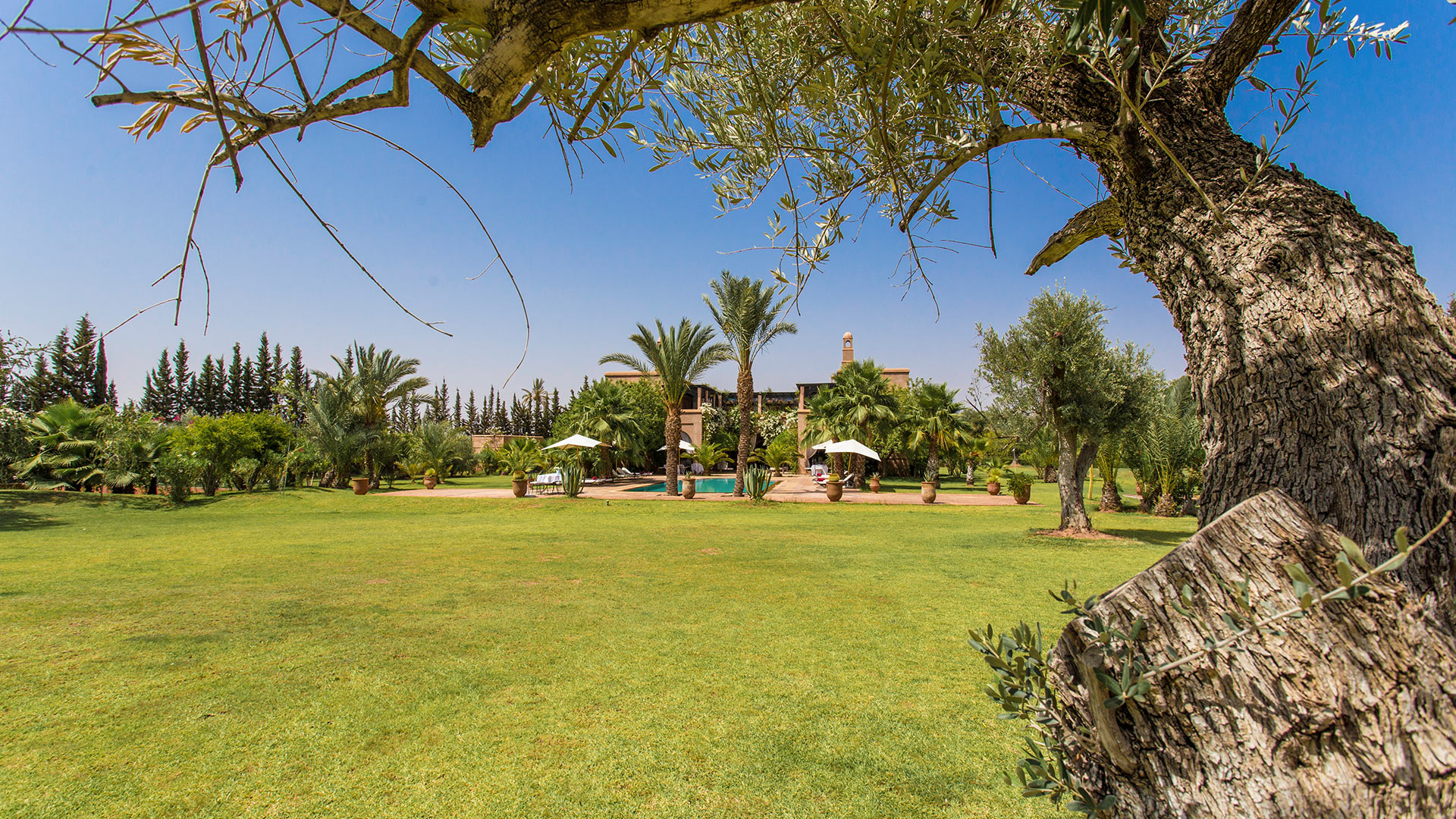 Villa Dar Marja, Rental in Marrakech