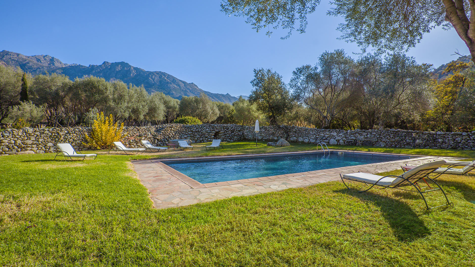 Villa Il Mulino - Image 19