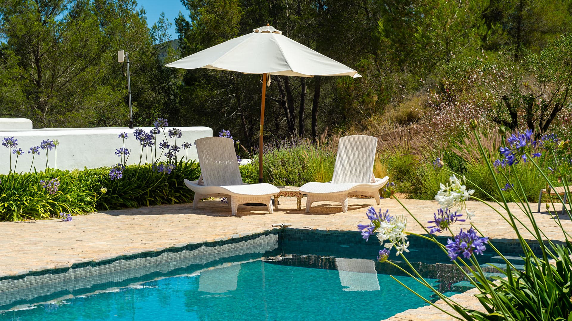 Eco Riu - Image 8