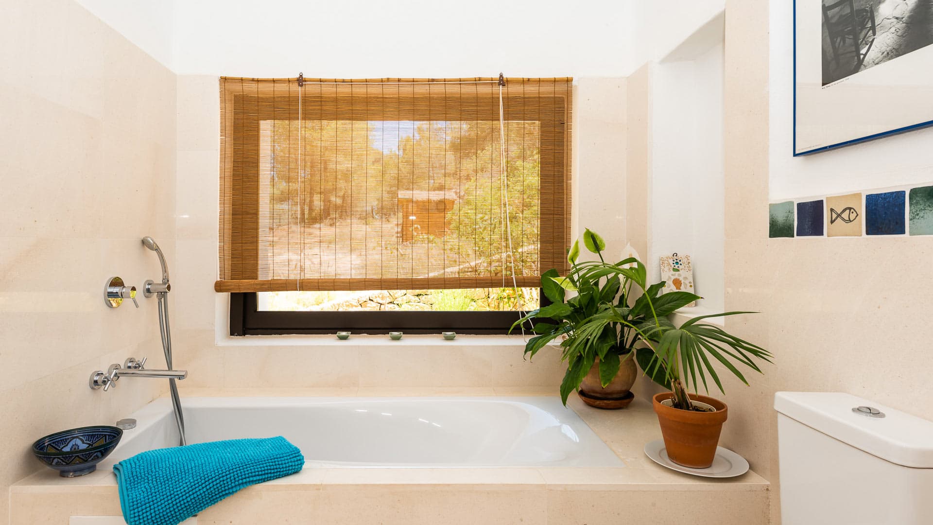 Eco Riu - Image 39
