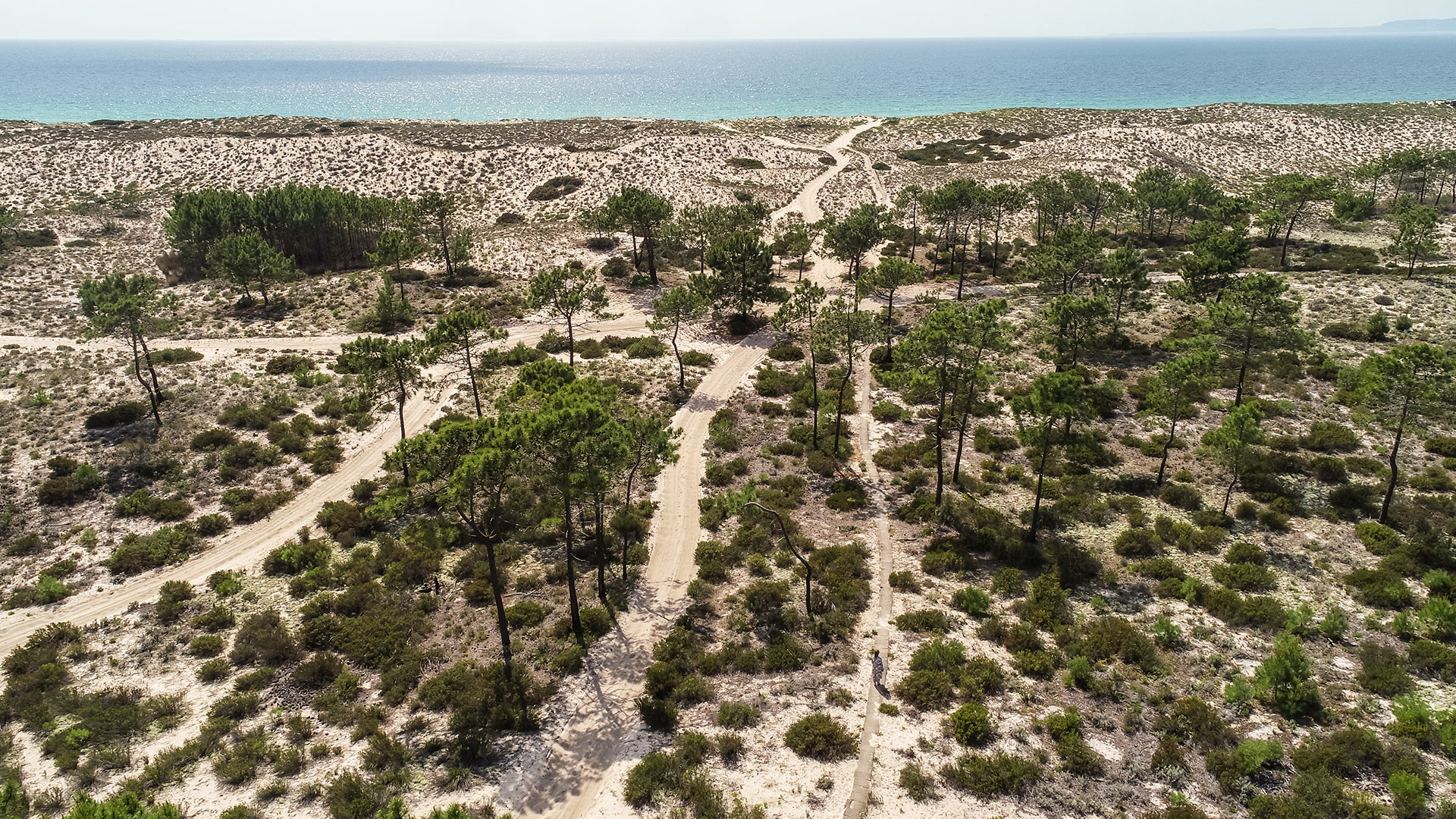 Casa Da Oliveira - Image 4