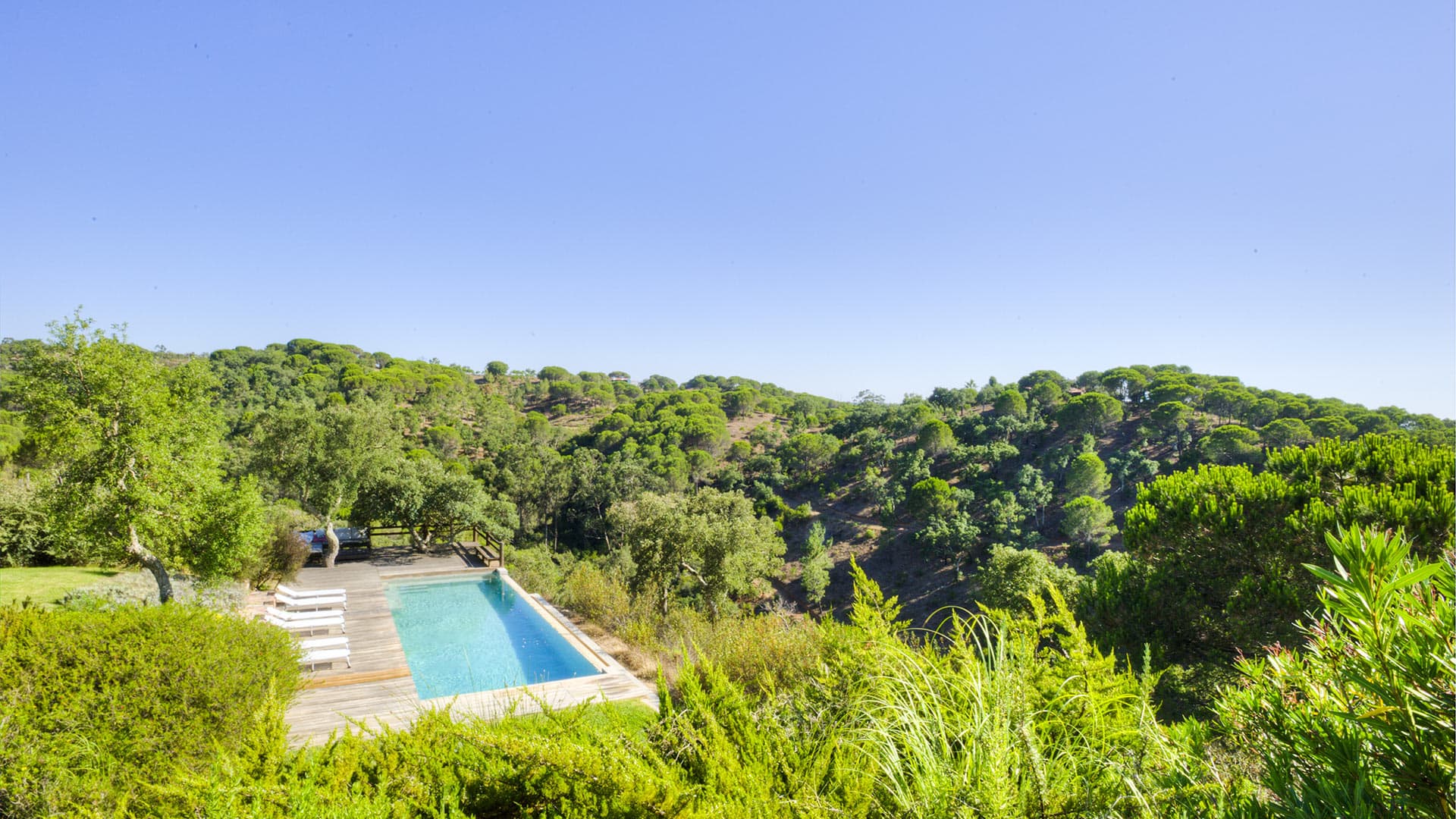 Casa da Abelha - Image 3