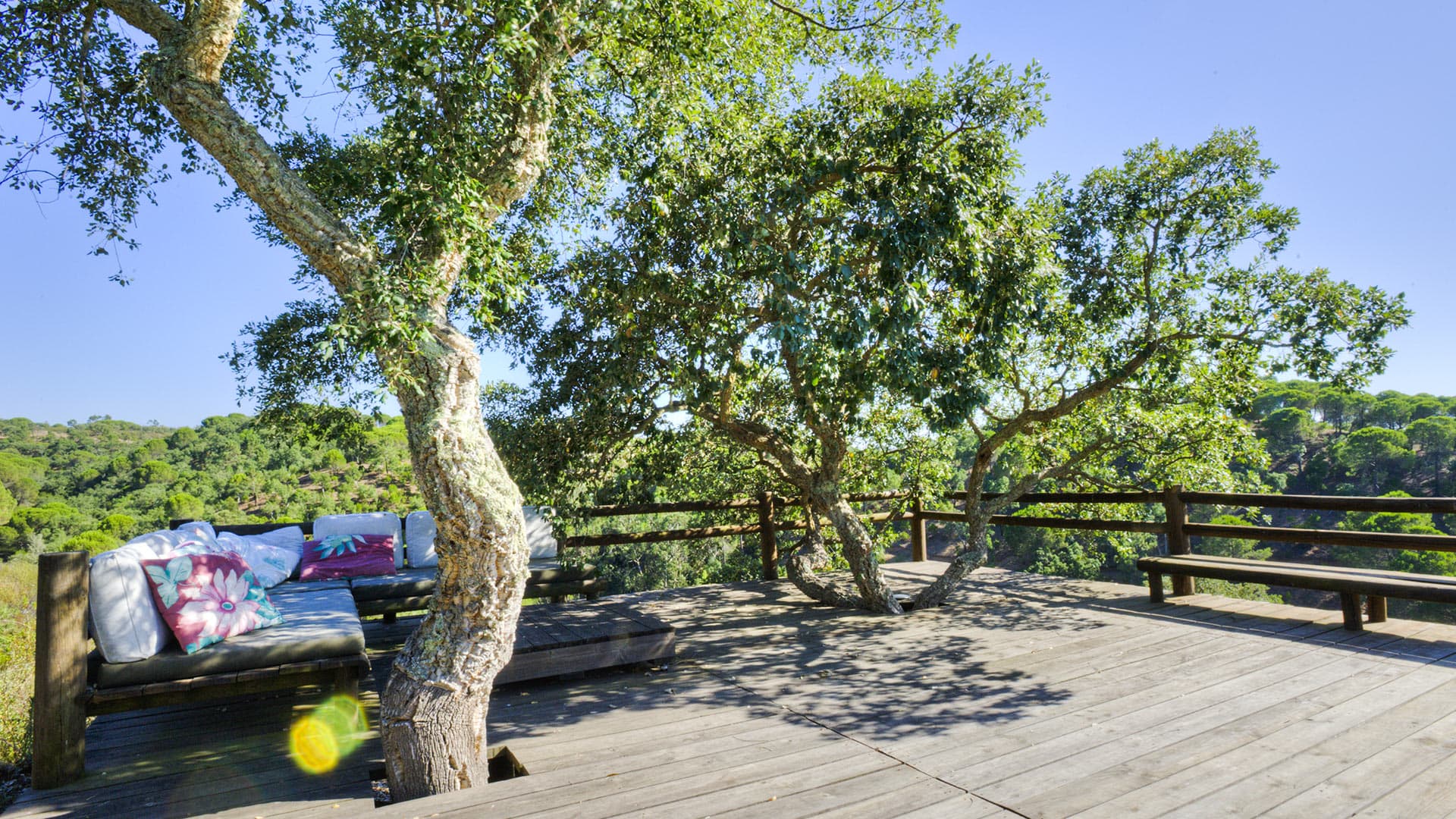 Casa da Abelha - Image 4