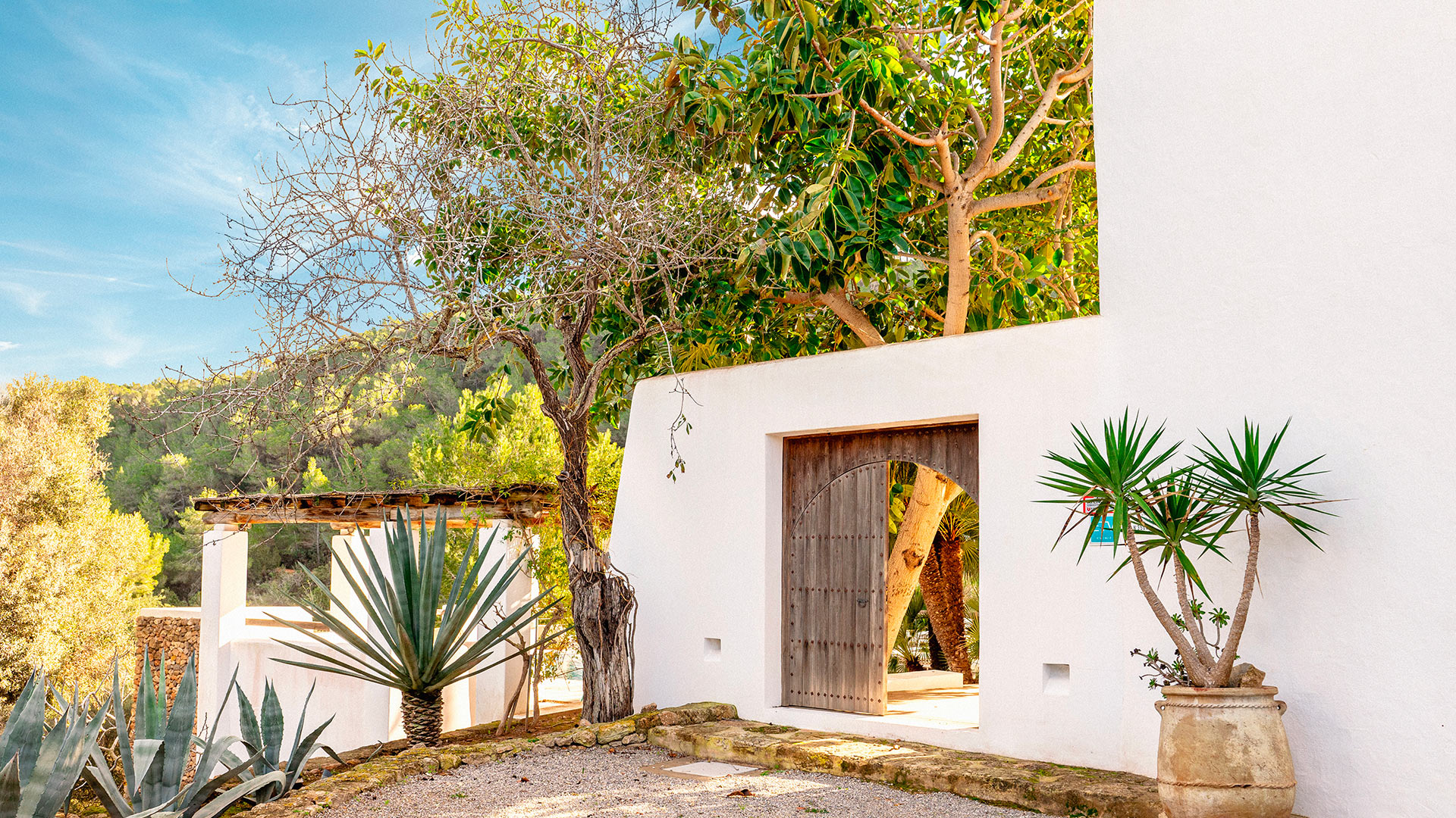 Finca Agusti — San Agustin
