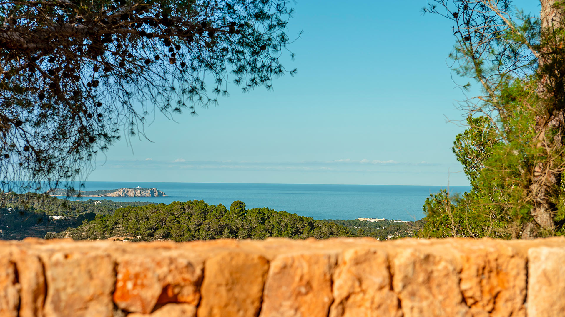 Finca Agusti - Image 39