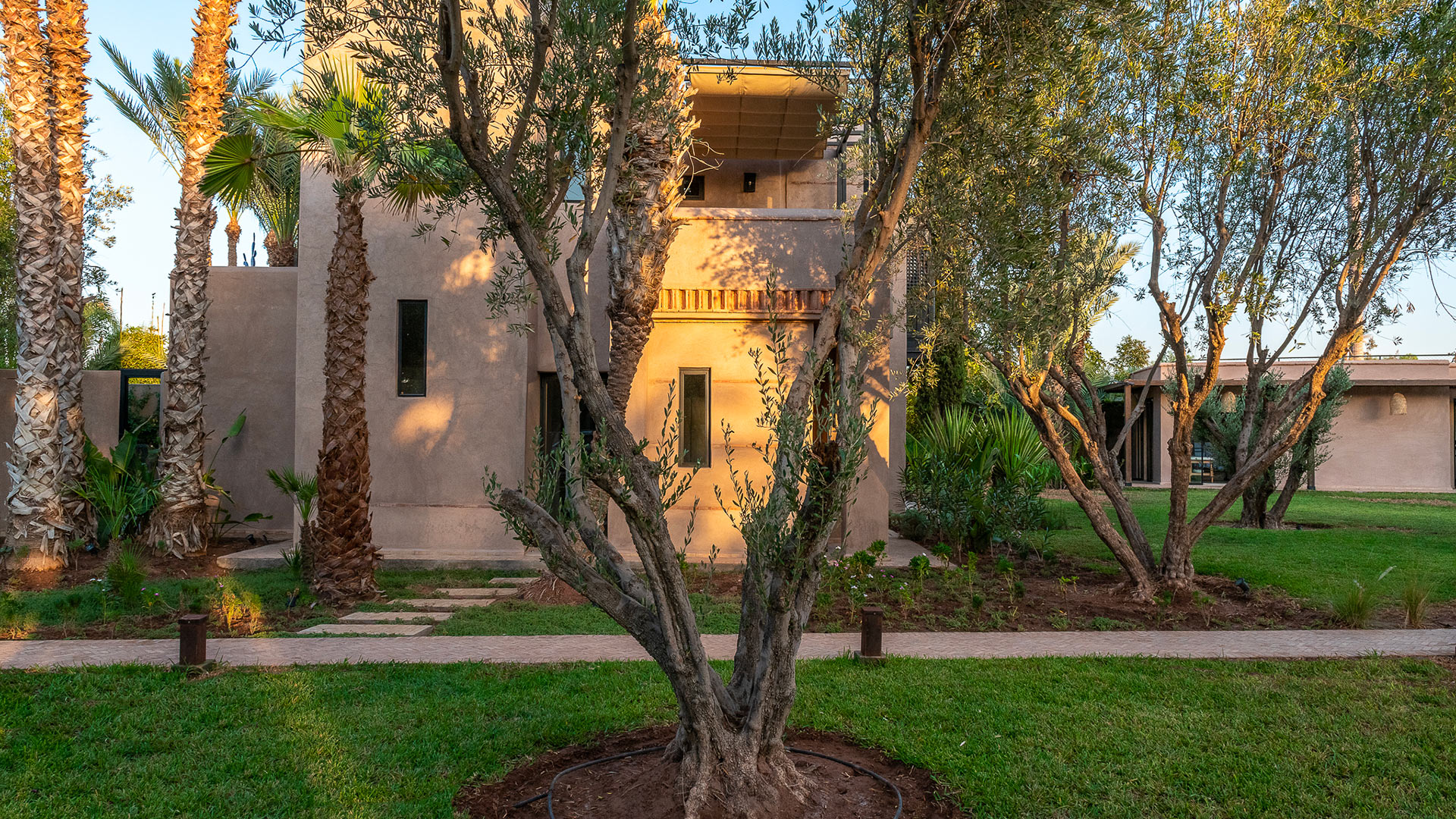 Dar Mehji - Image 33