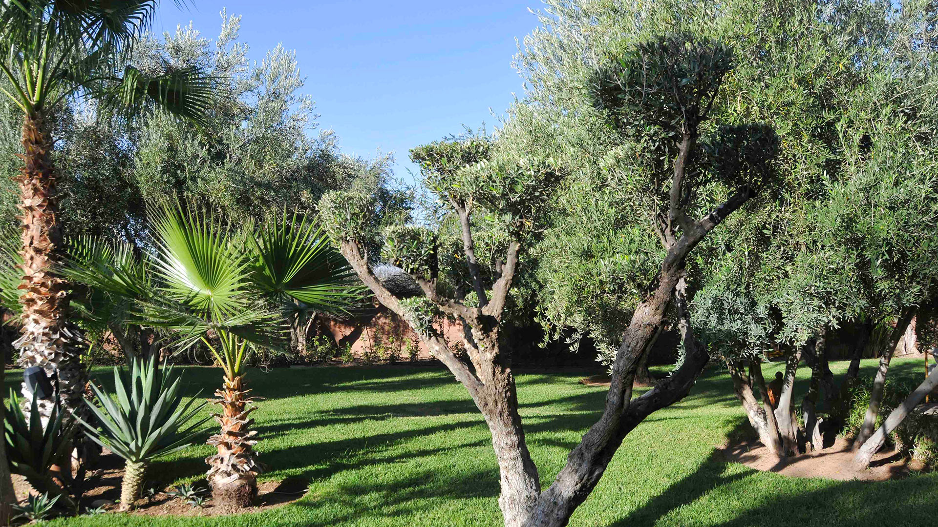 Villa Amane - Image 37