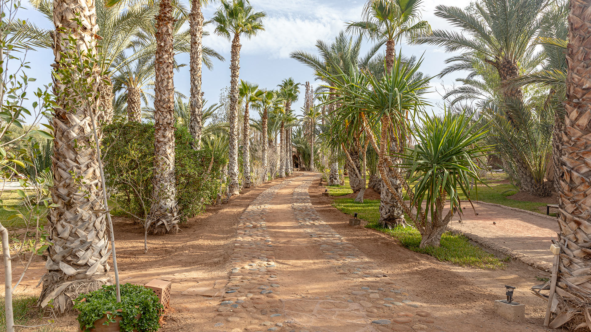 Villa Palmeraie 32 — Marrakech