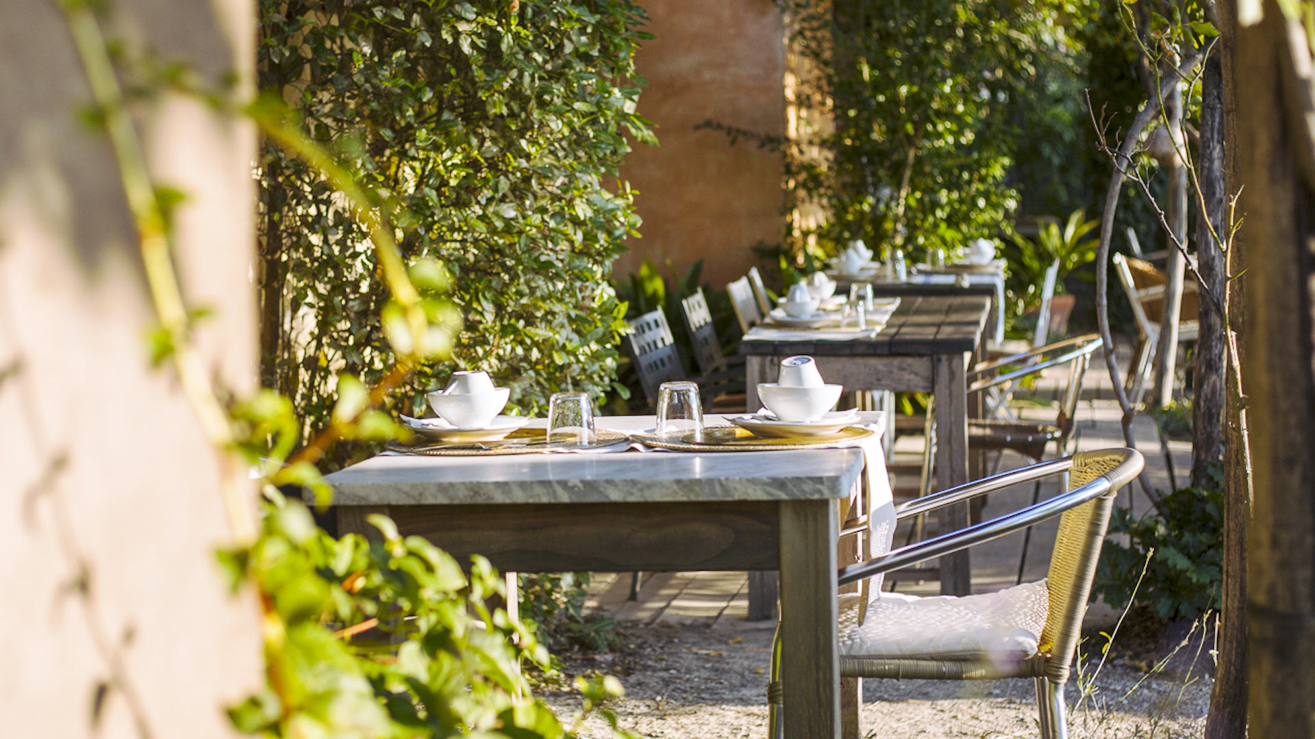 Fattoria SM - Image 3