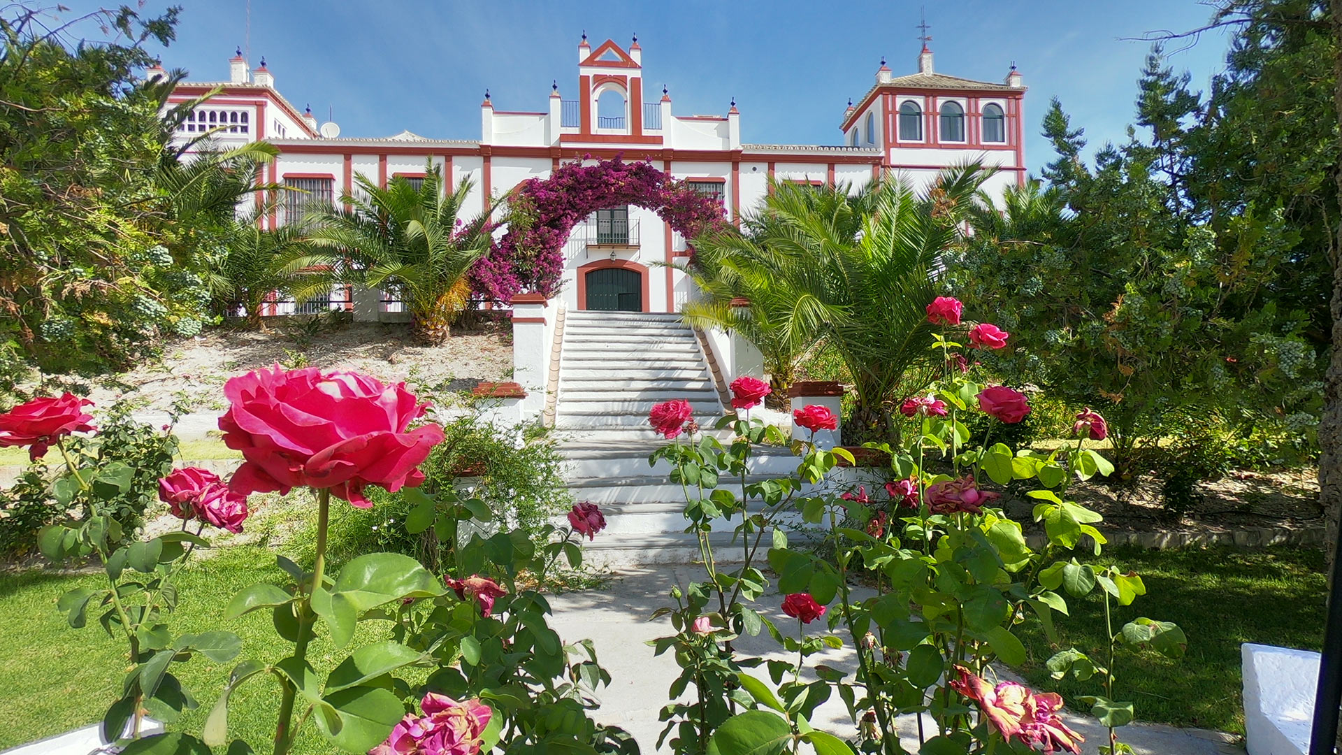 Hacienda Andaluz — Séville