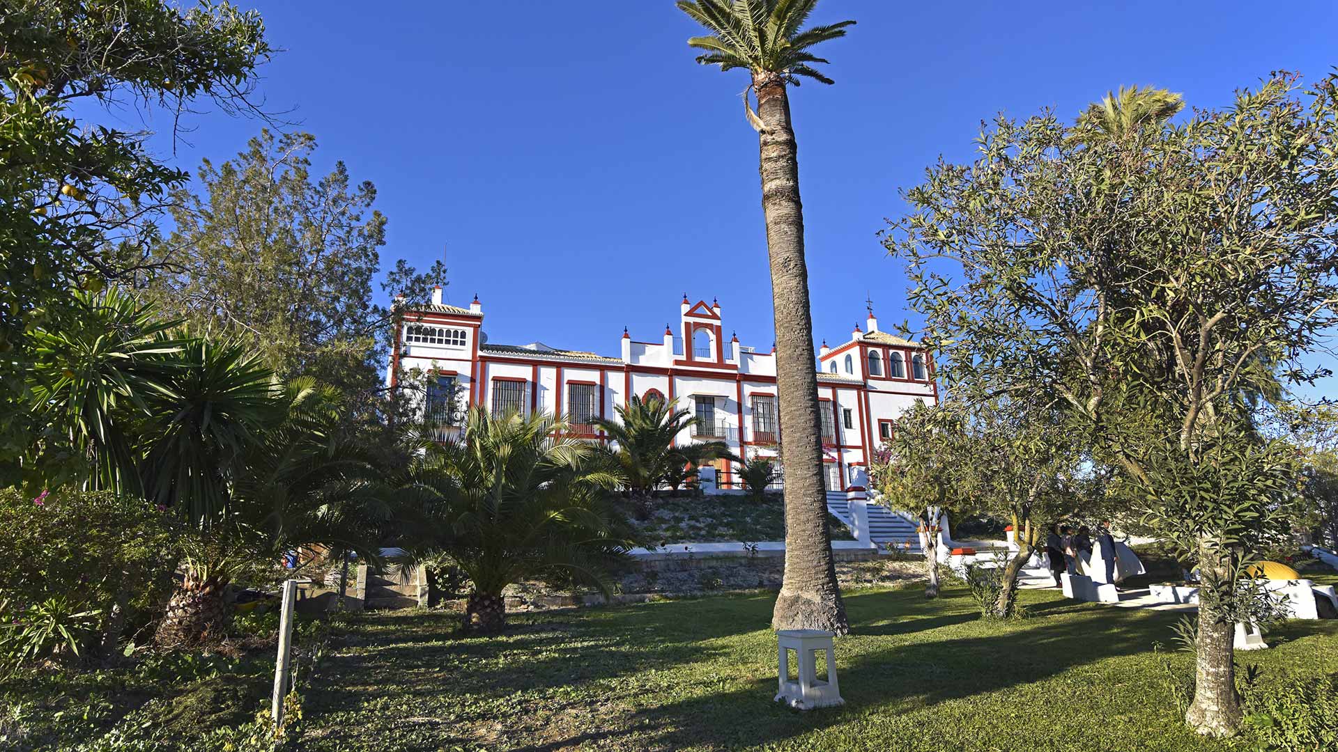 Hacienda Andaluz — Séville