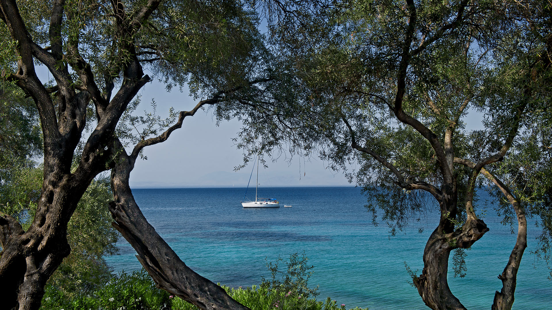 Villa Aphrodite II - Image 4