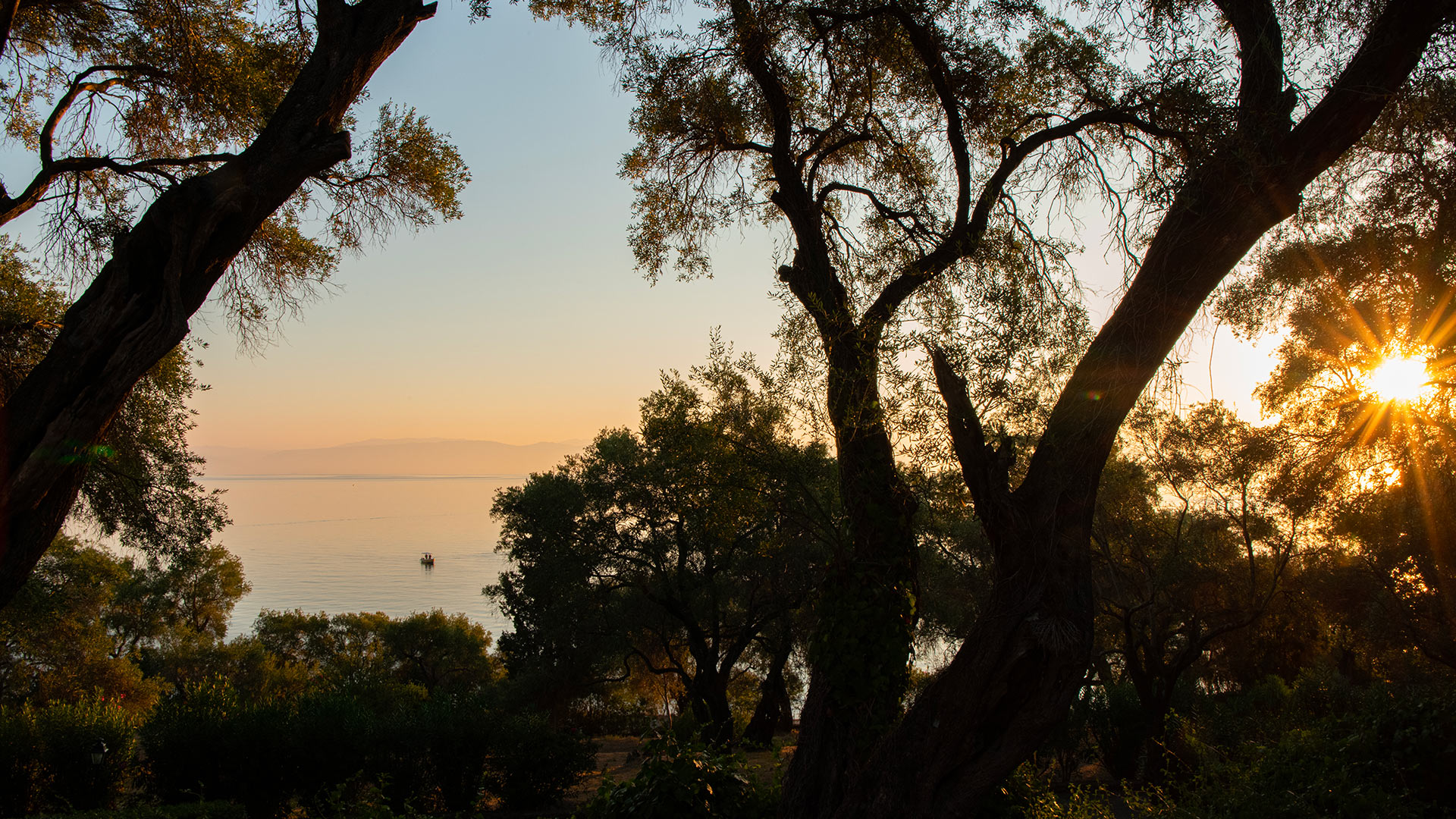 Villa Aphrodite II - Image 7