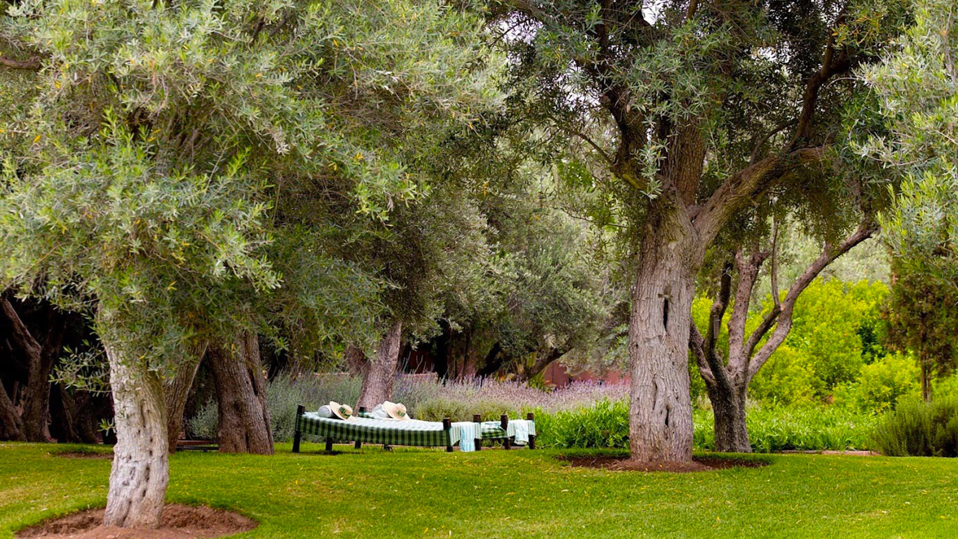 Villa Alkhozama — Marrakech