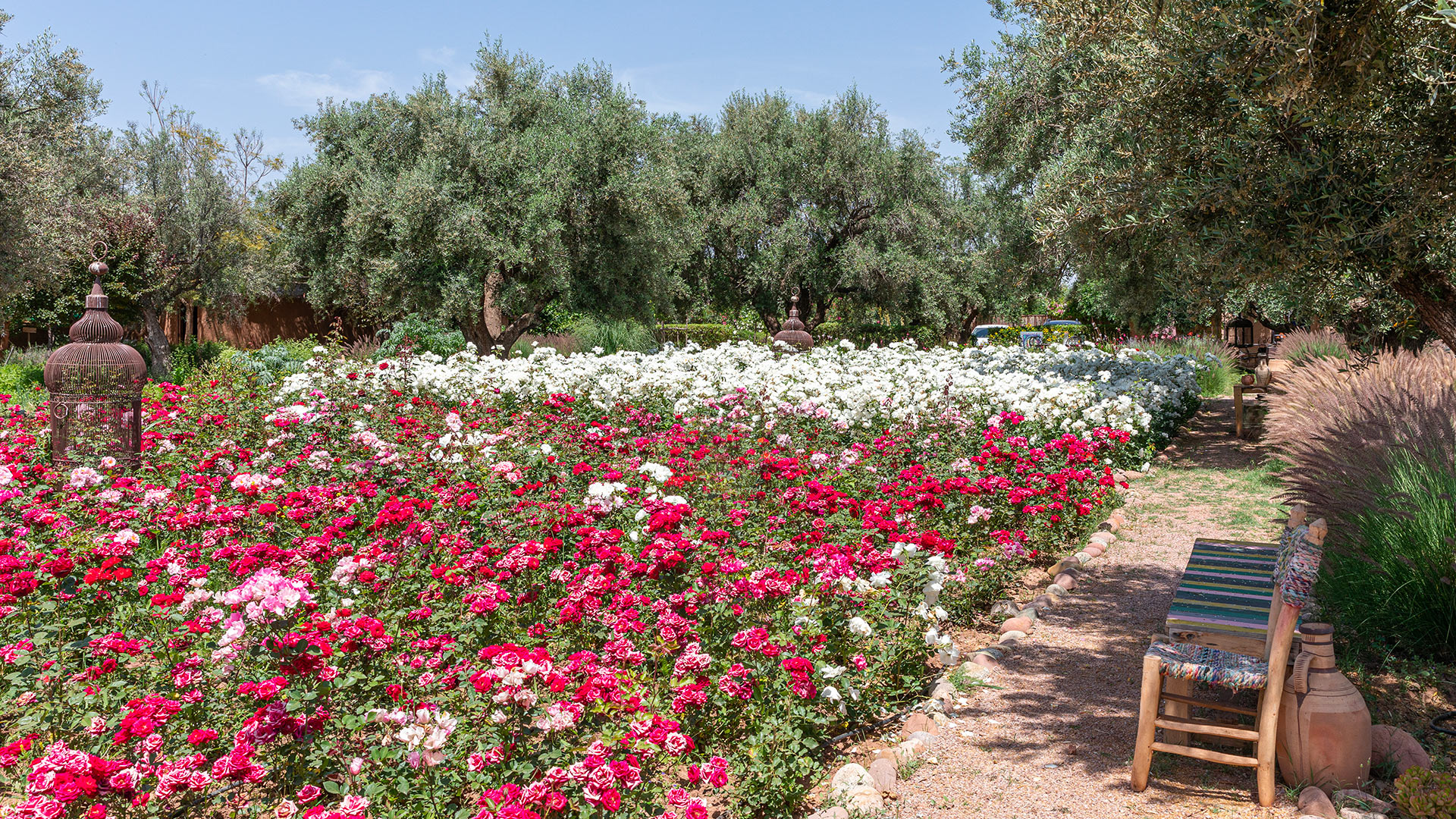 Dar Tahira - Image 54