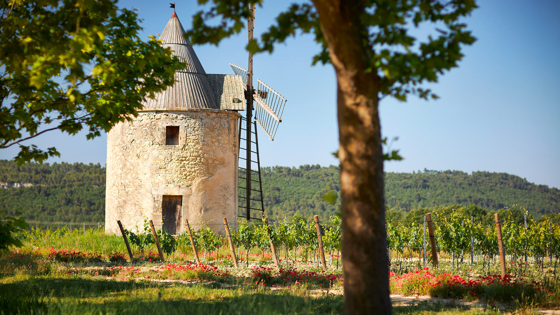Château de Lusannes - Image 58