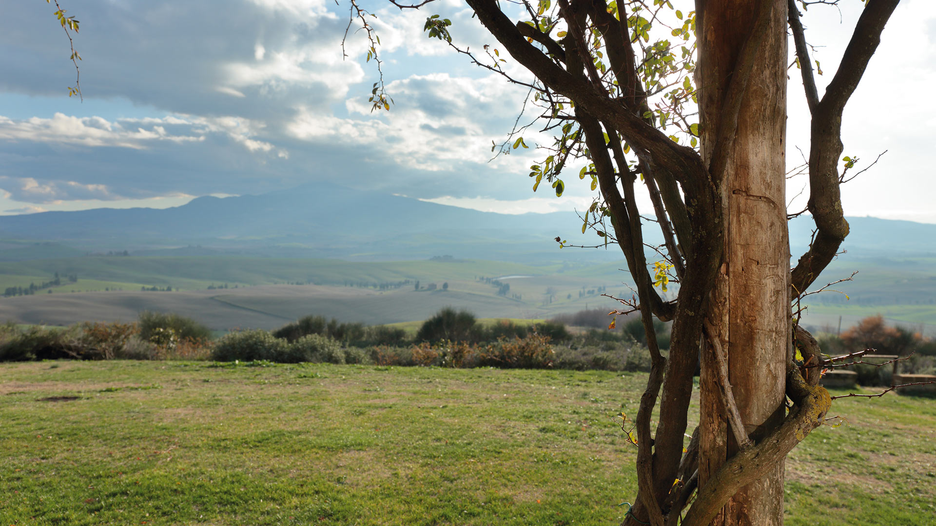 Casa Orcia - Image 8