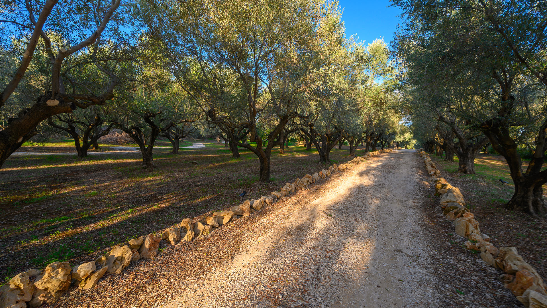 Villa Areal - Image 10