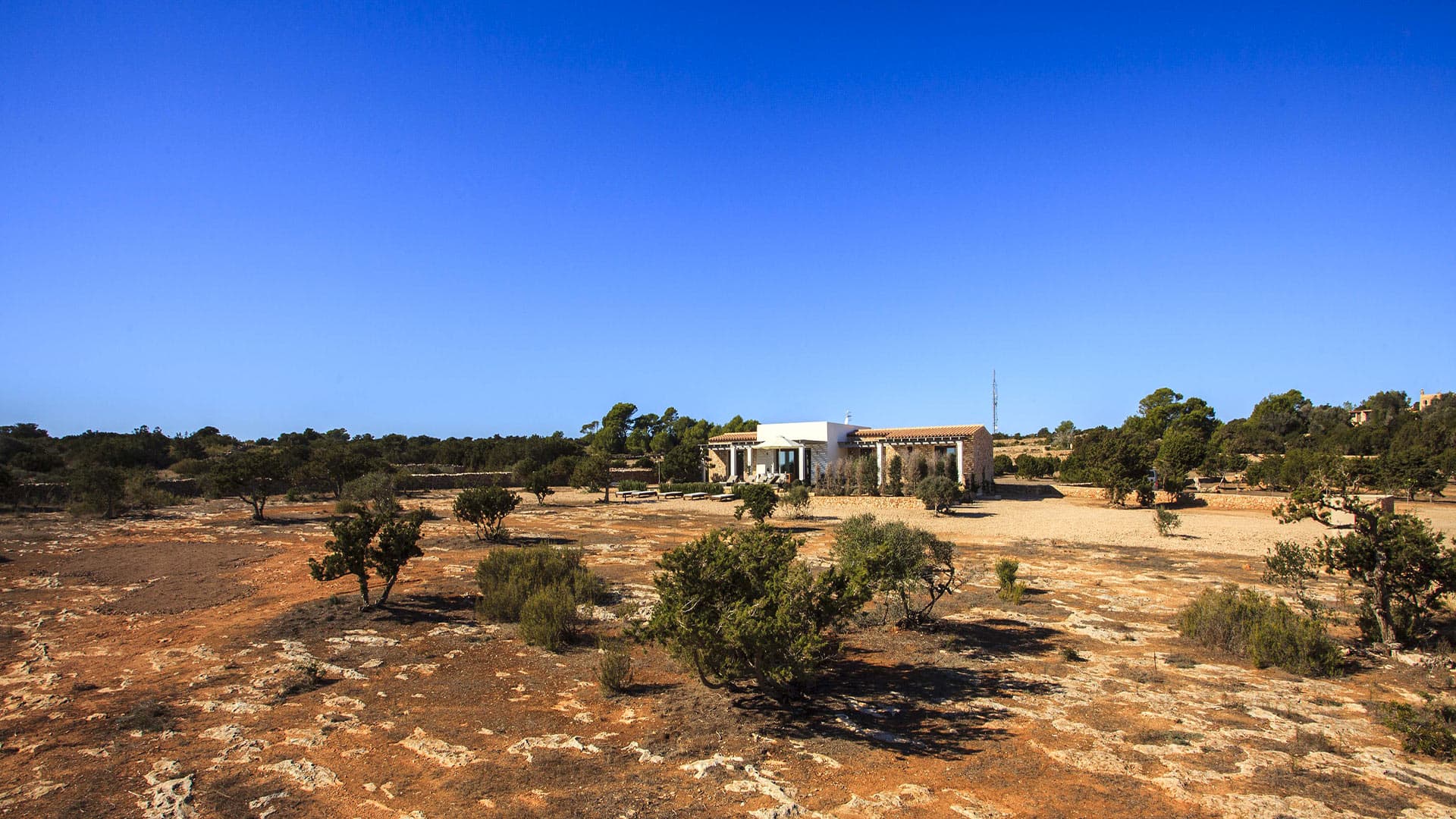 Villa Barbarina - Image 3