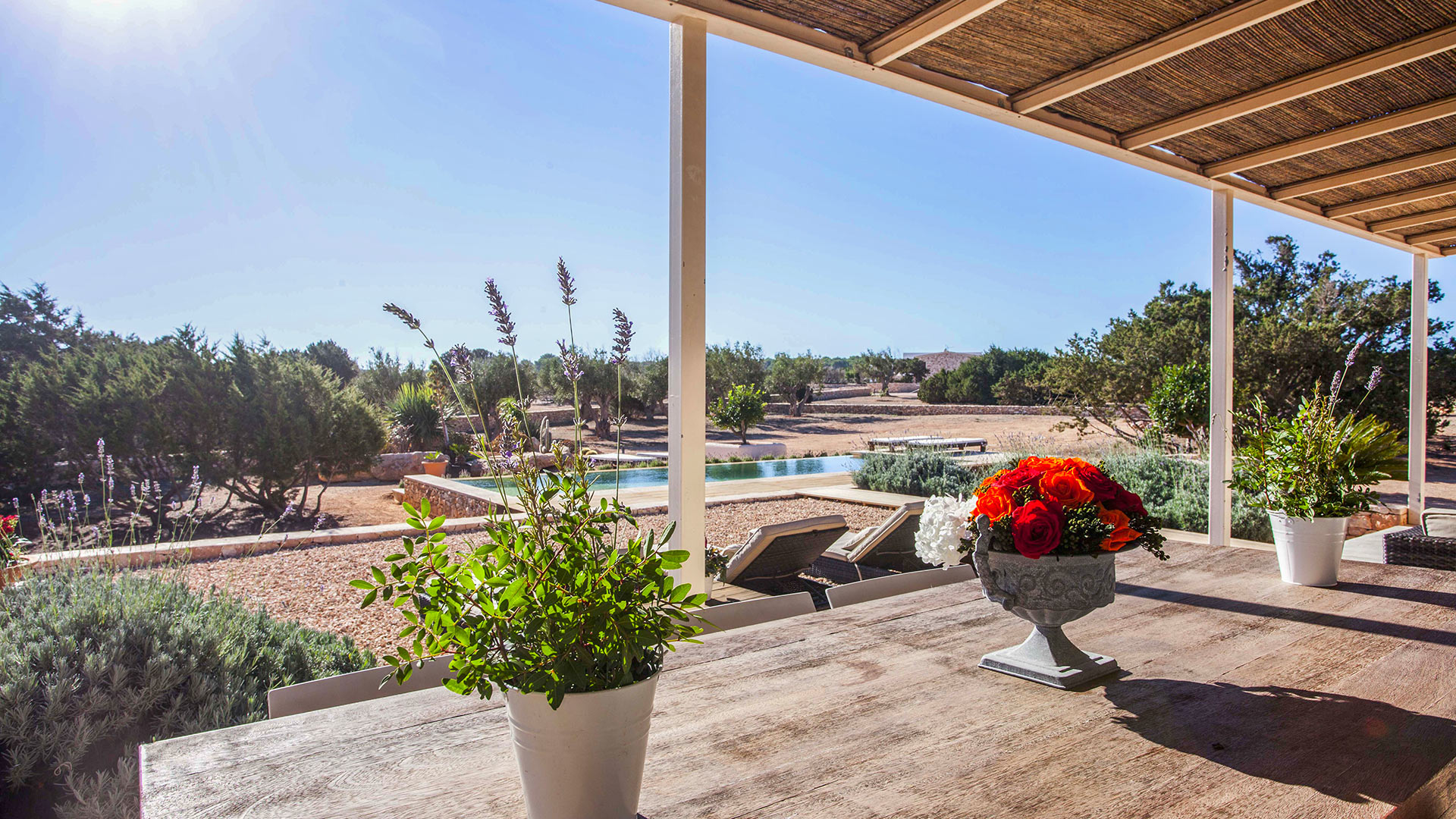 Villa Freya - Image 7