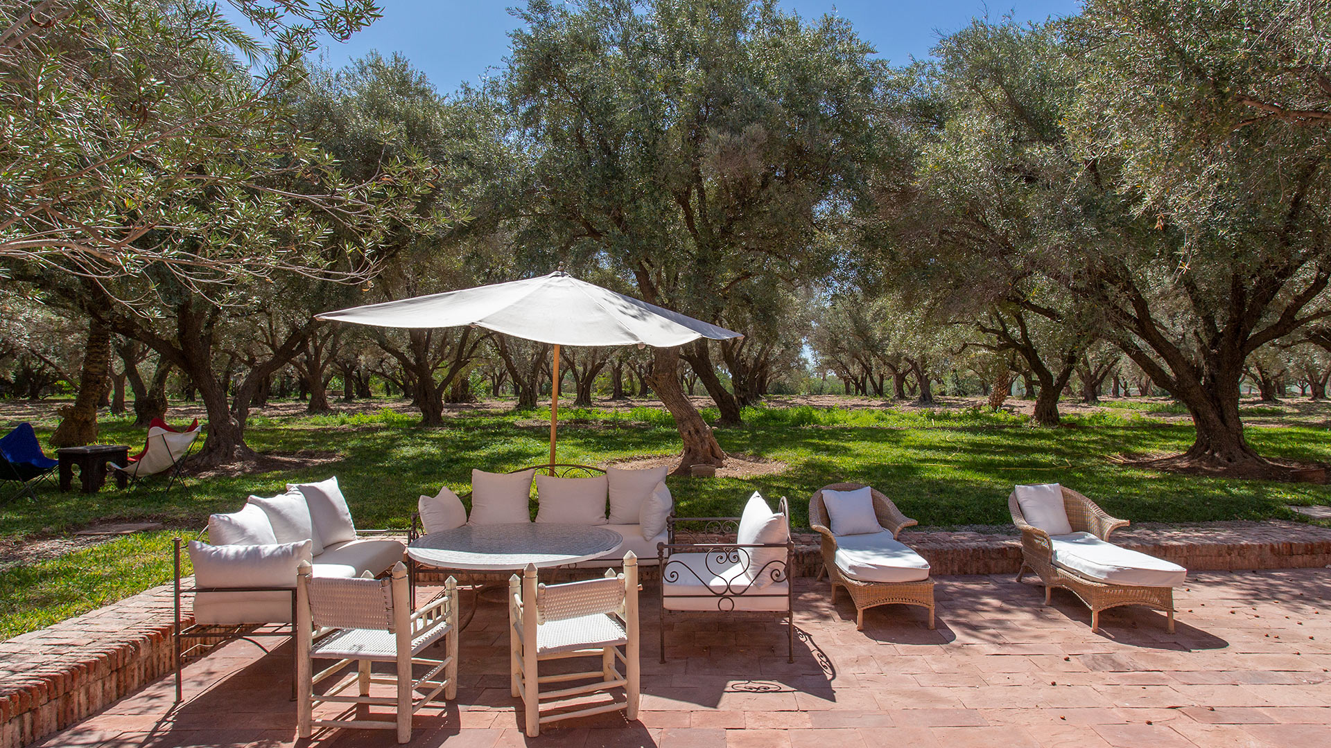 Royaume des Oliviers — Marrakech
