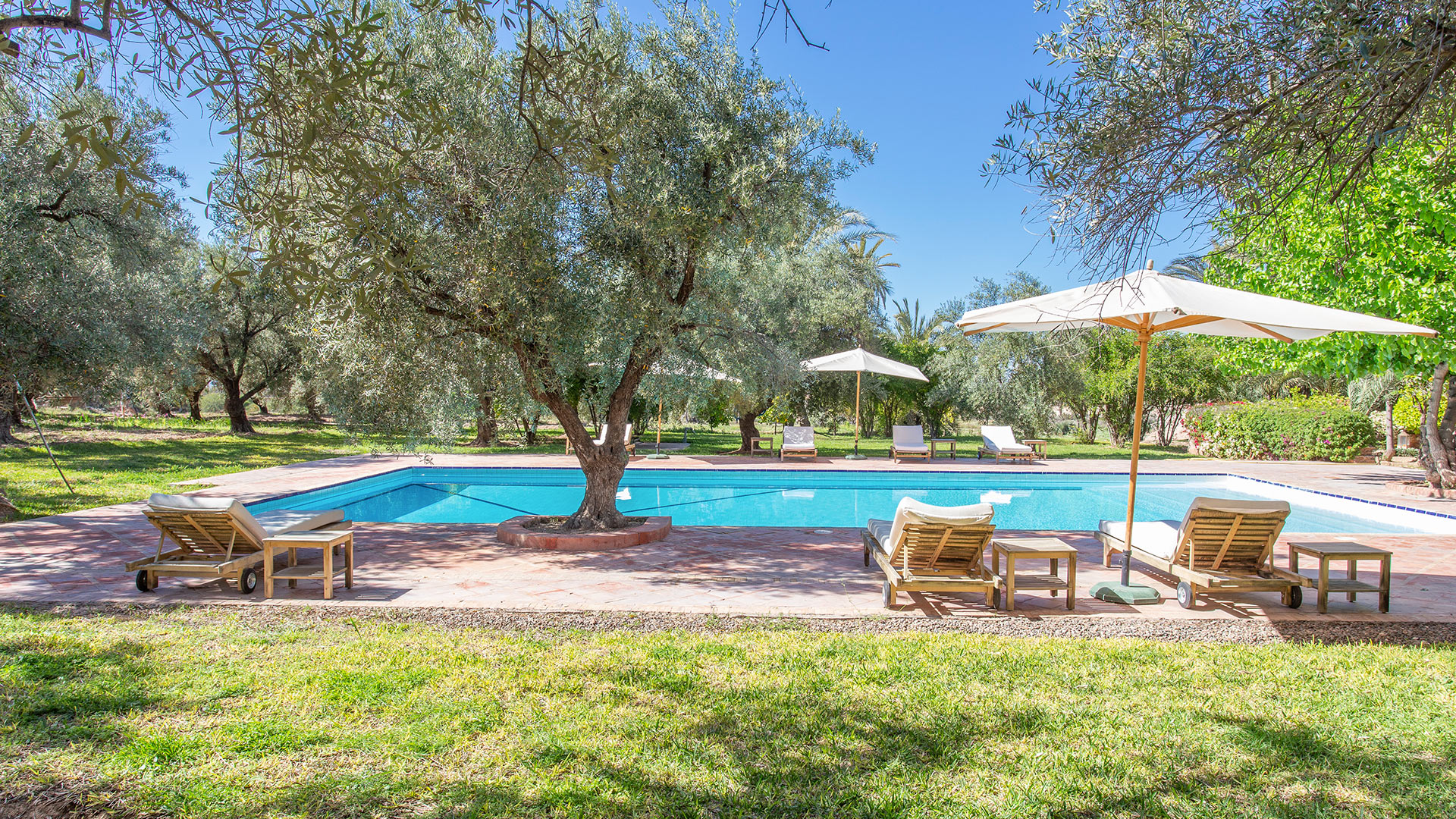 Royaume des Oliviers — Marrakech