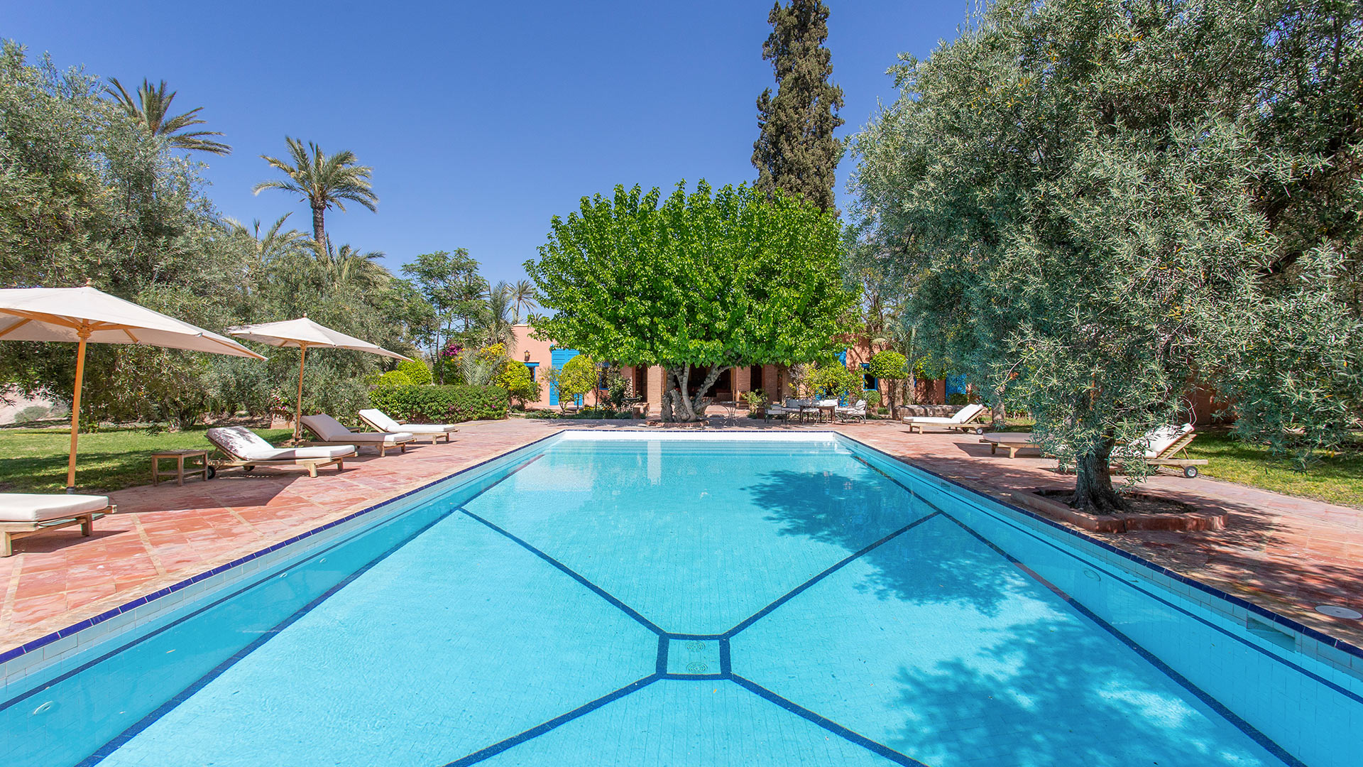 Royaume des Oliviers — Marrakech