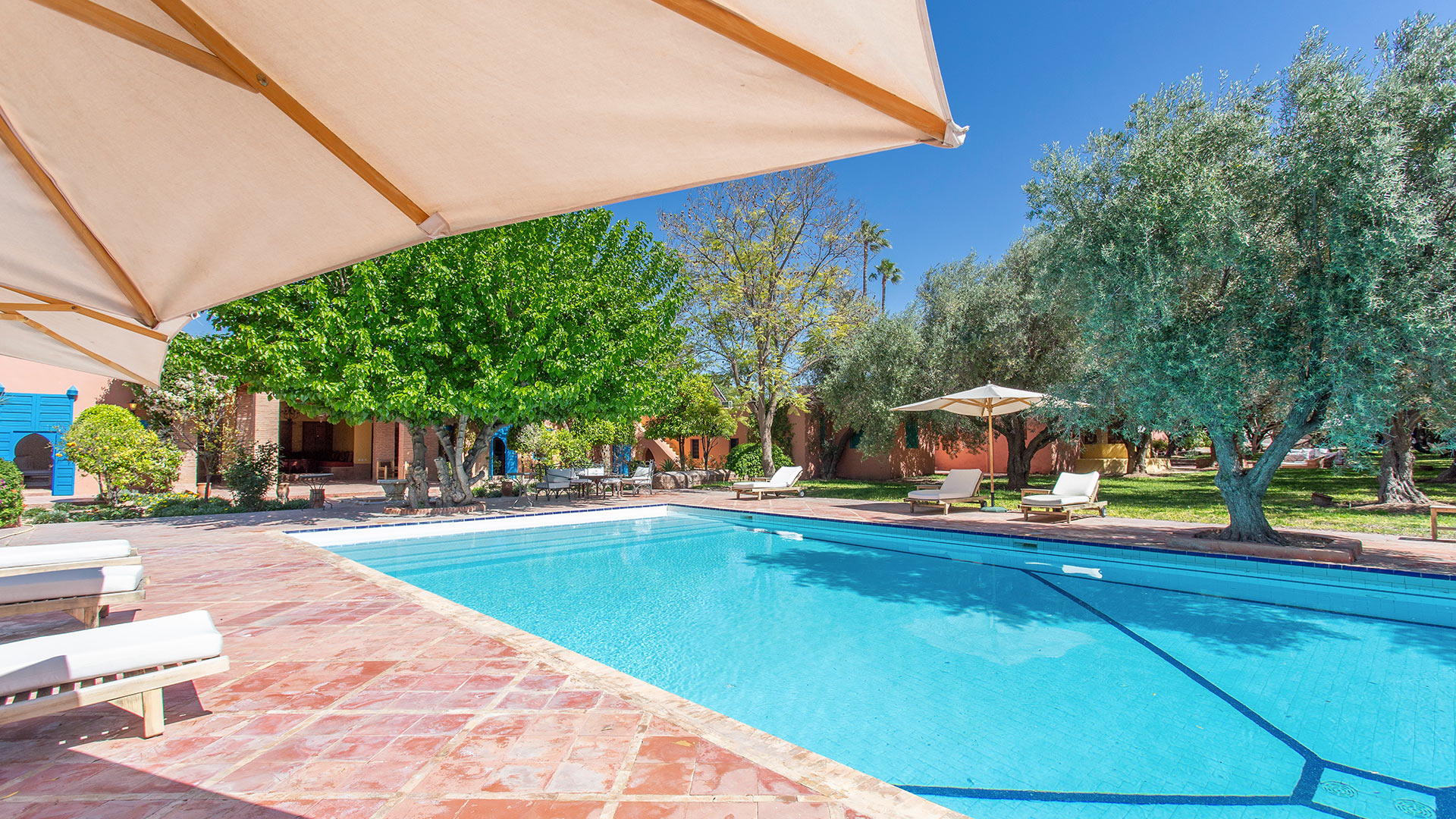 Royaume des Oliviers — Marrakech