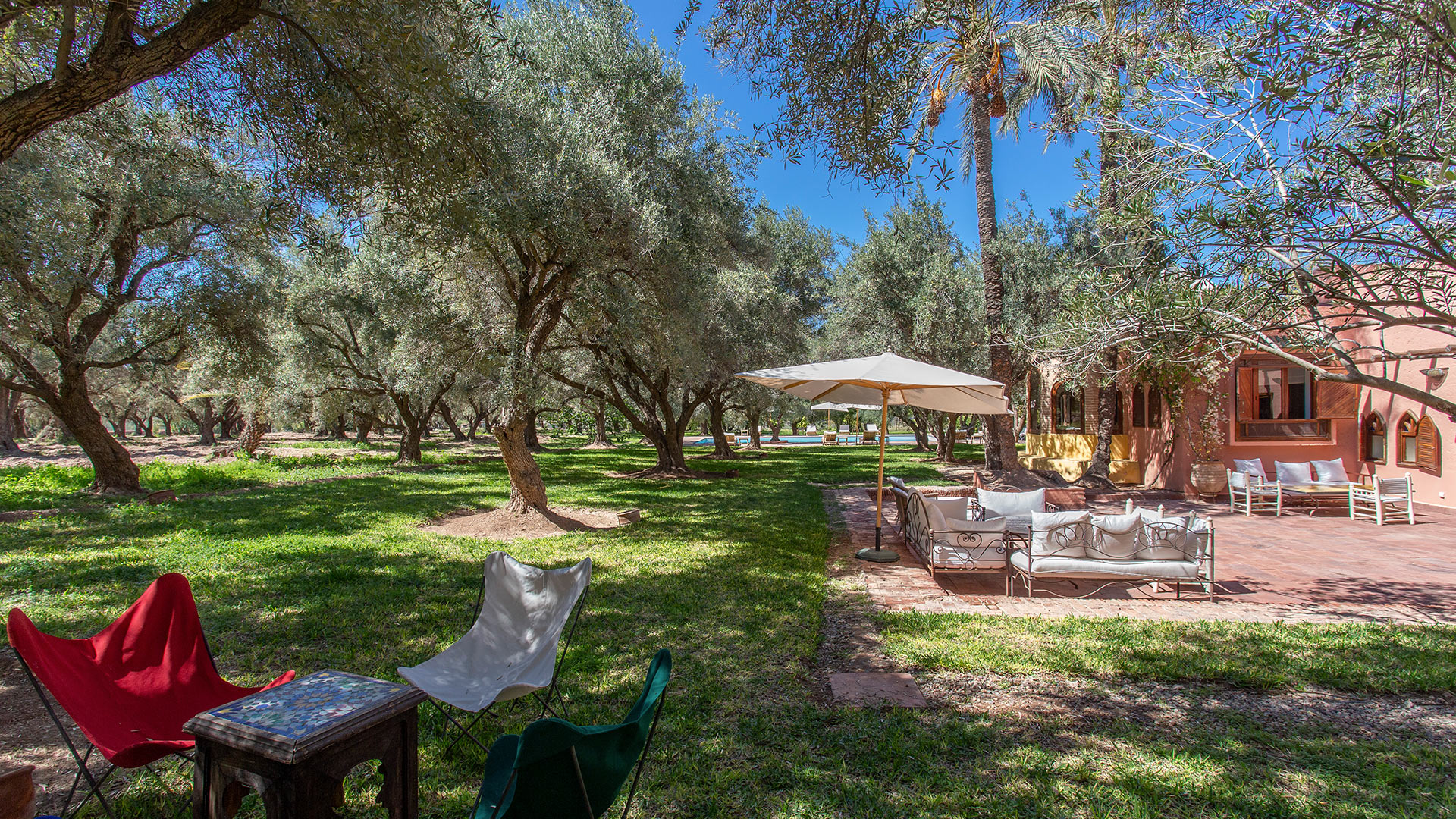 Royaume des Oliviers — Marrakech