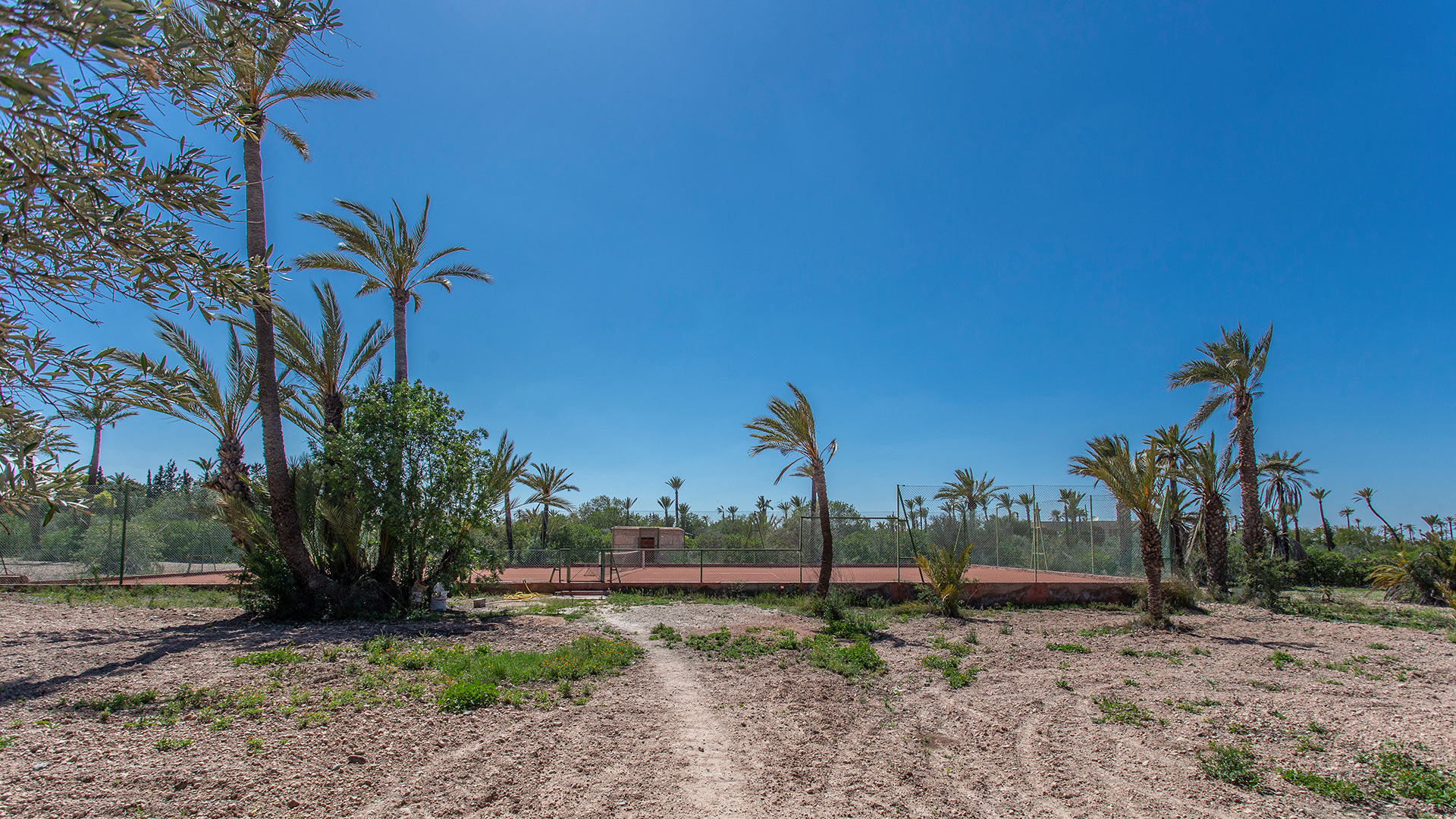 Royaume des Oliviers — Marrakech