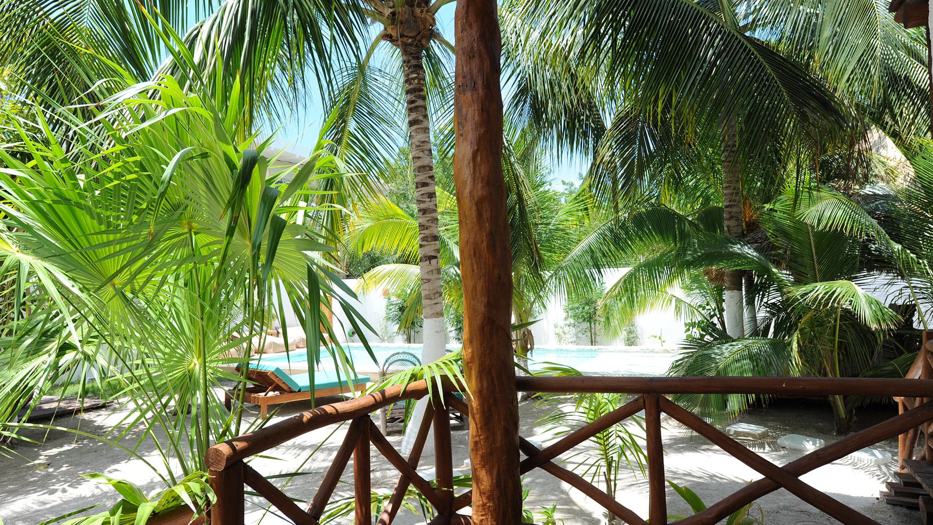 Casa Blanca - Image 5