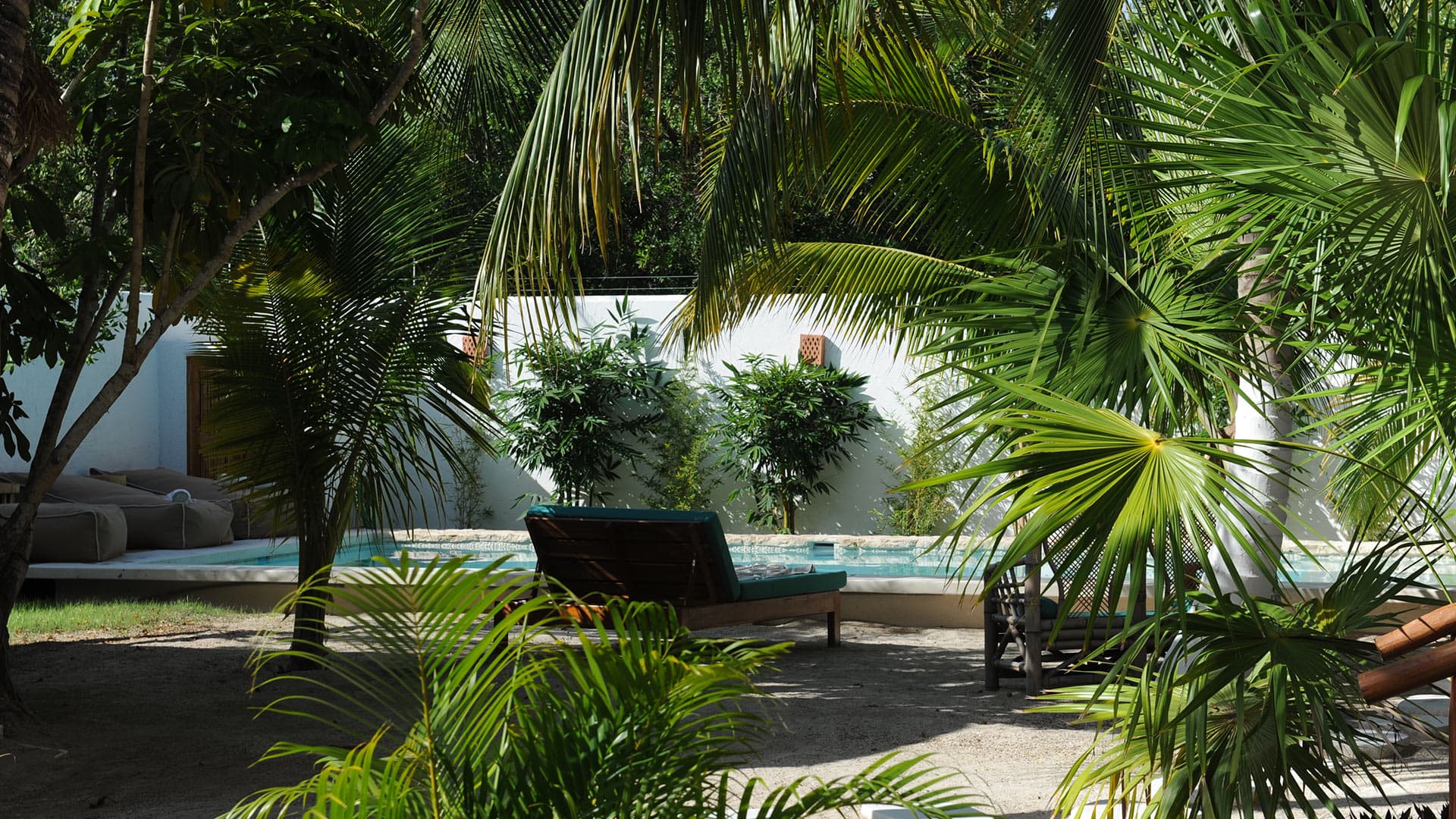 Casa Blanca - Image 7