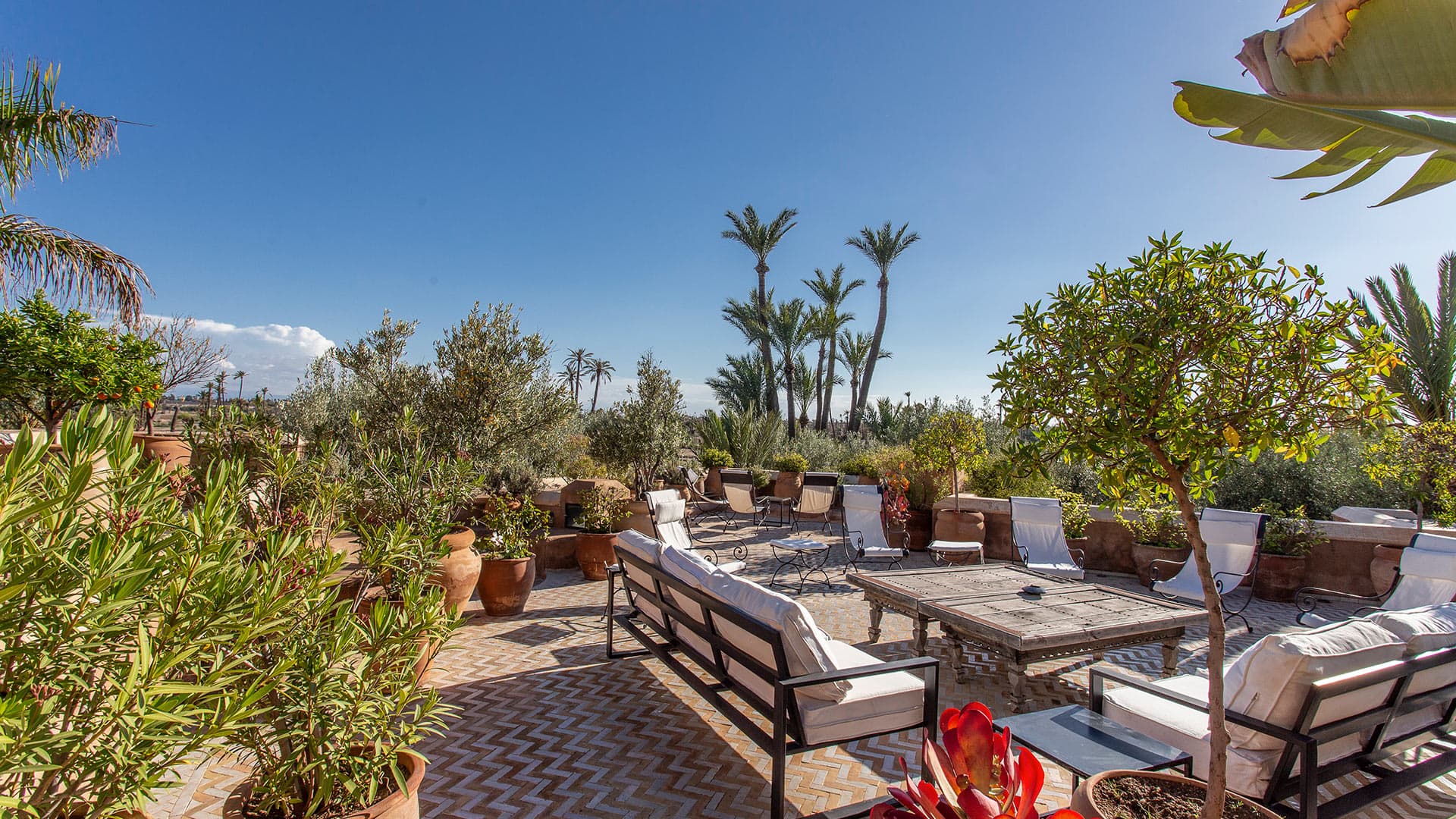 Villa Jacaranda - Image 22