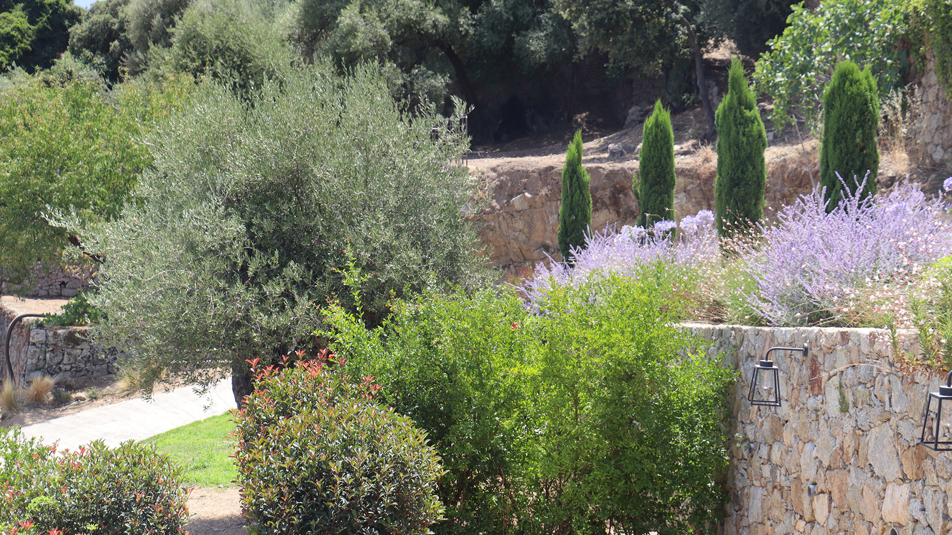 Villa Gabriella - Image 7