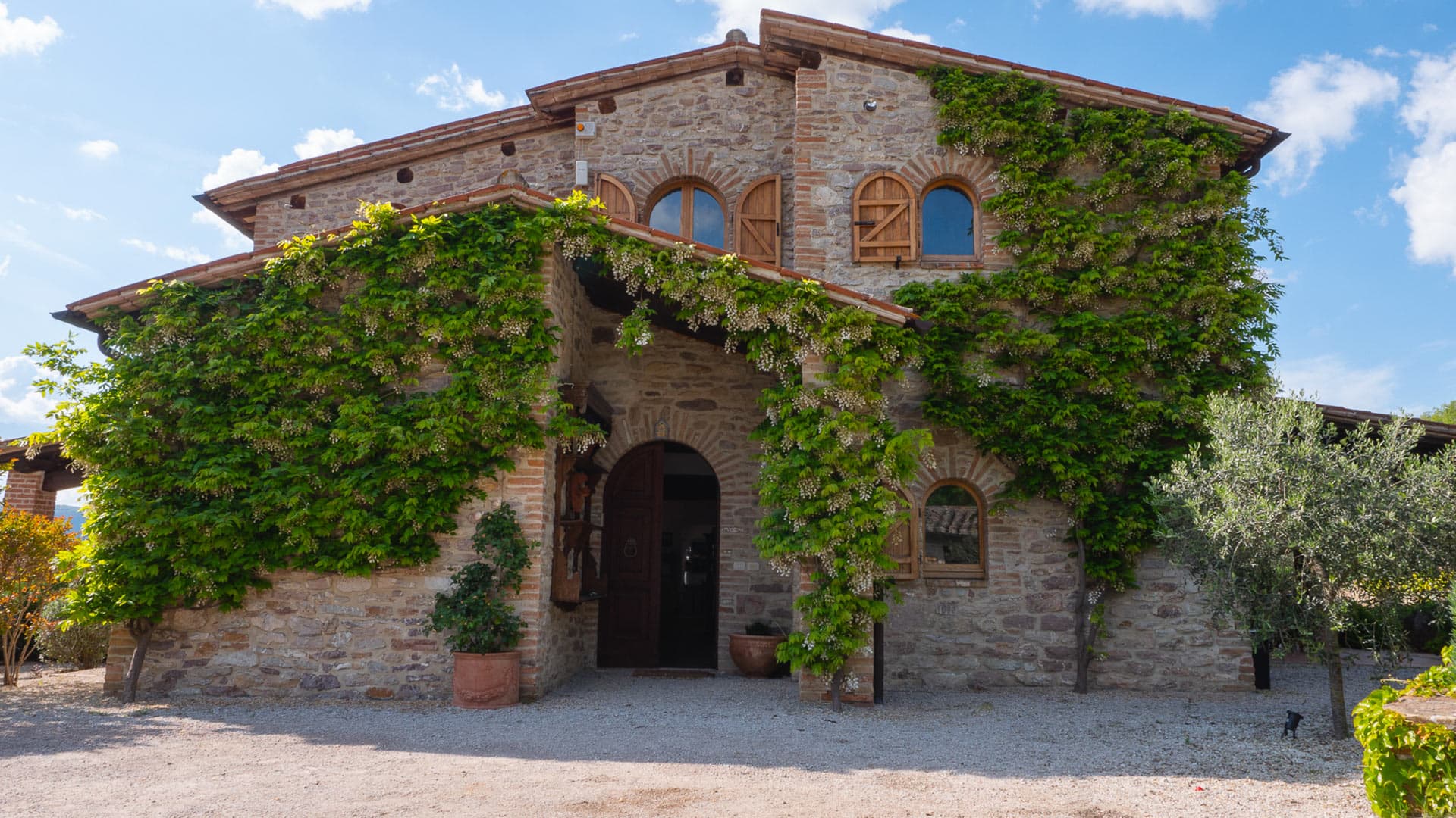 Casa Olivi - Image 8