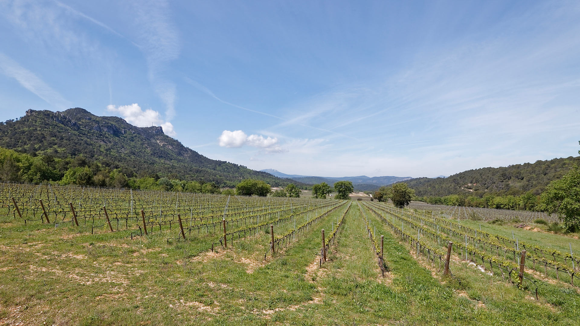 Villa Enago - Image 42