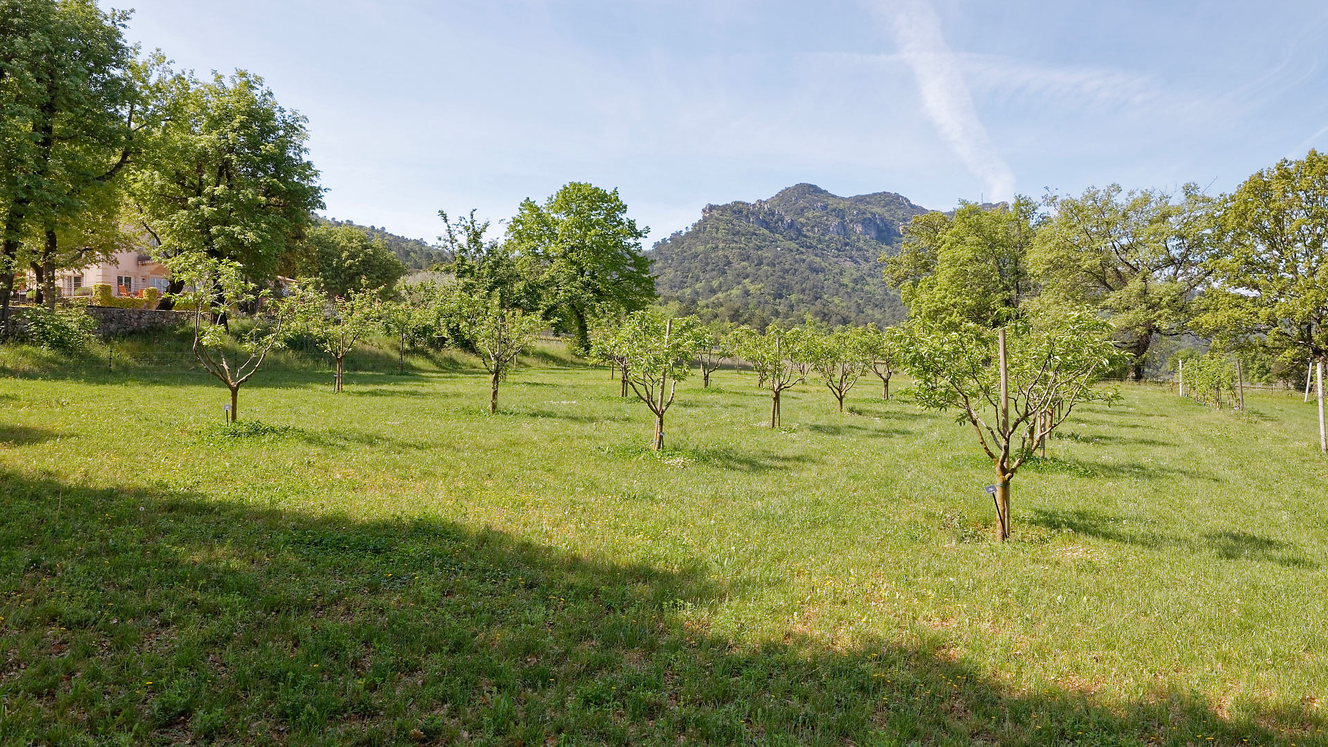 Villa Enago - Image 41