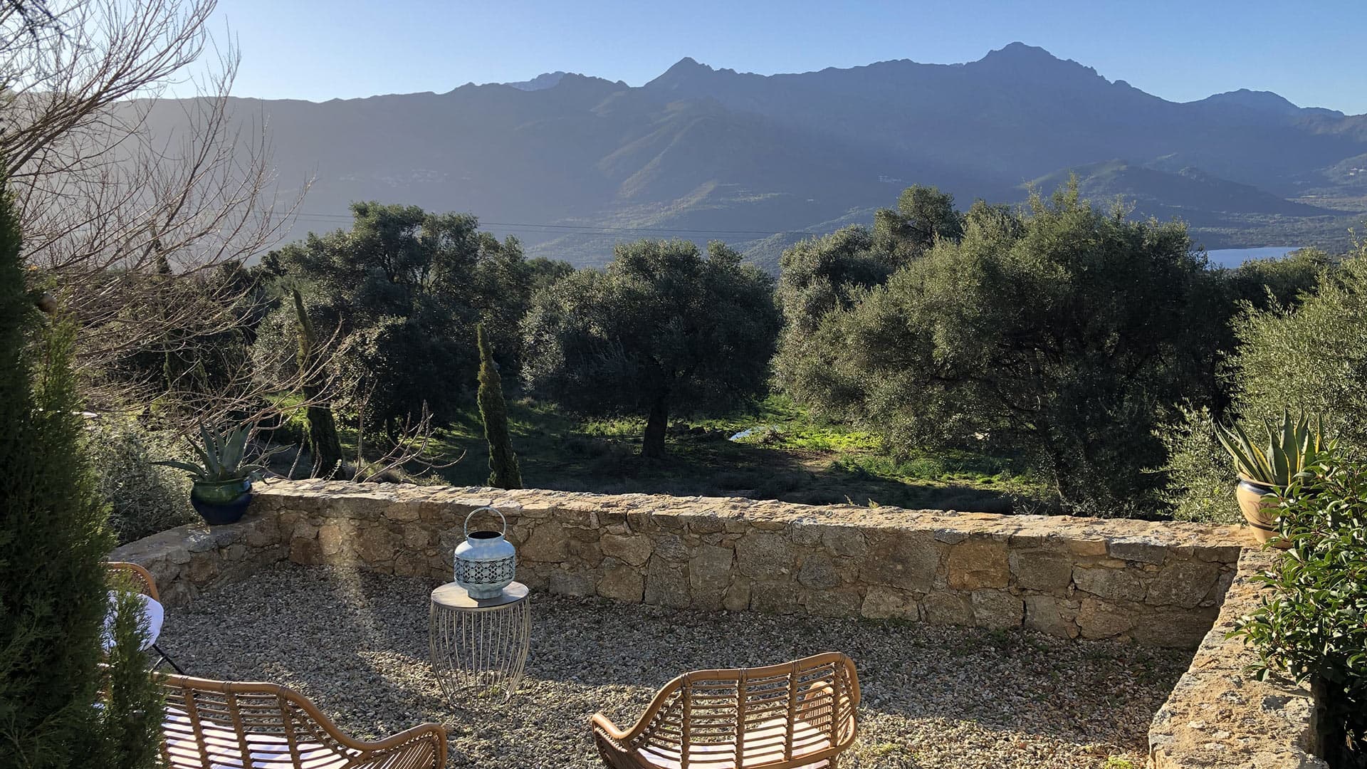 Villa Oliveraie - Image 15