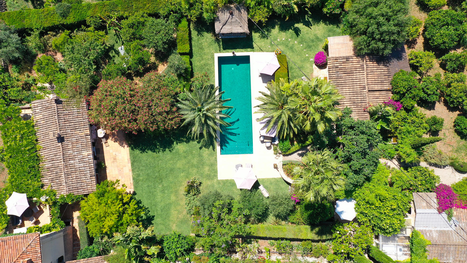 Finca Soledad — Soller