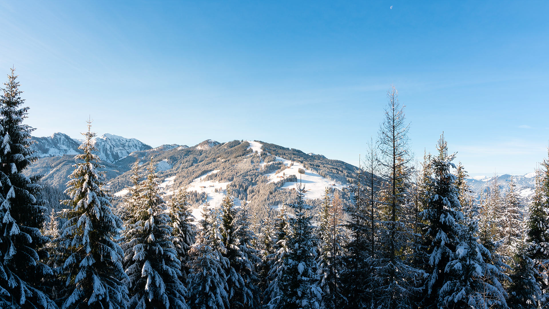 Villa Le Grand Chalet, Rental in Salzburg