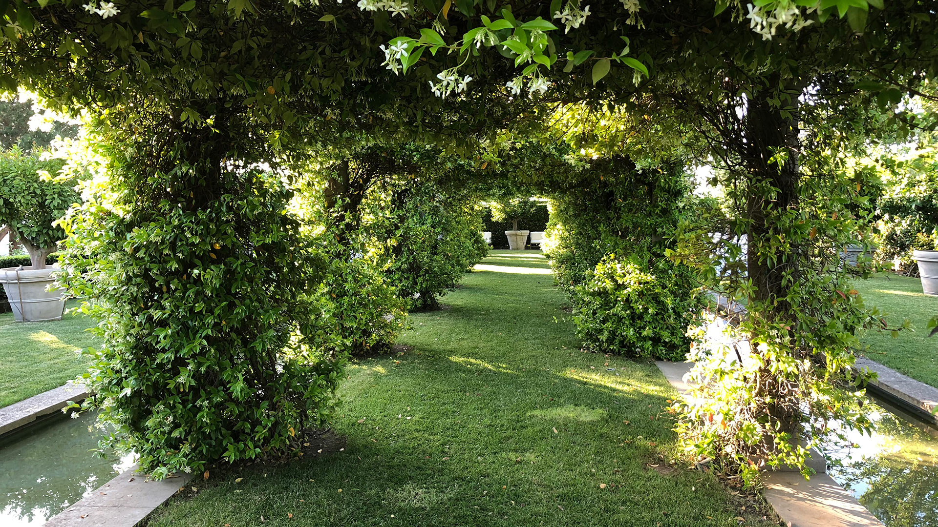 Villa Tirrena - Image 40