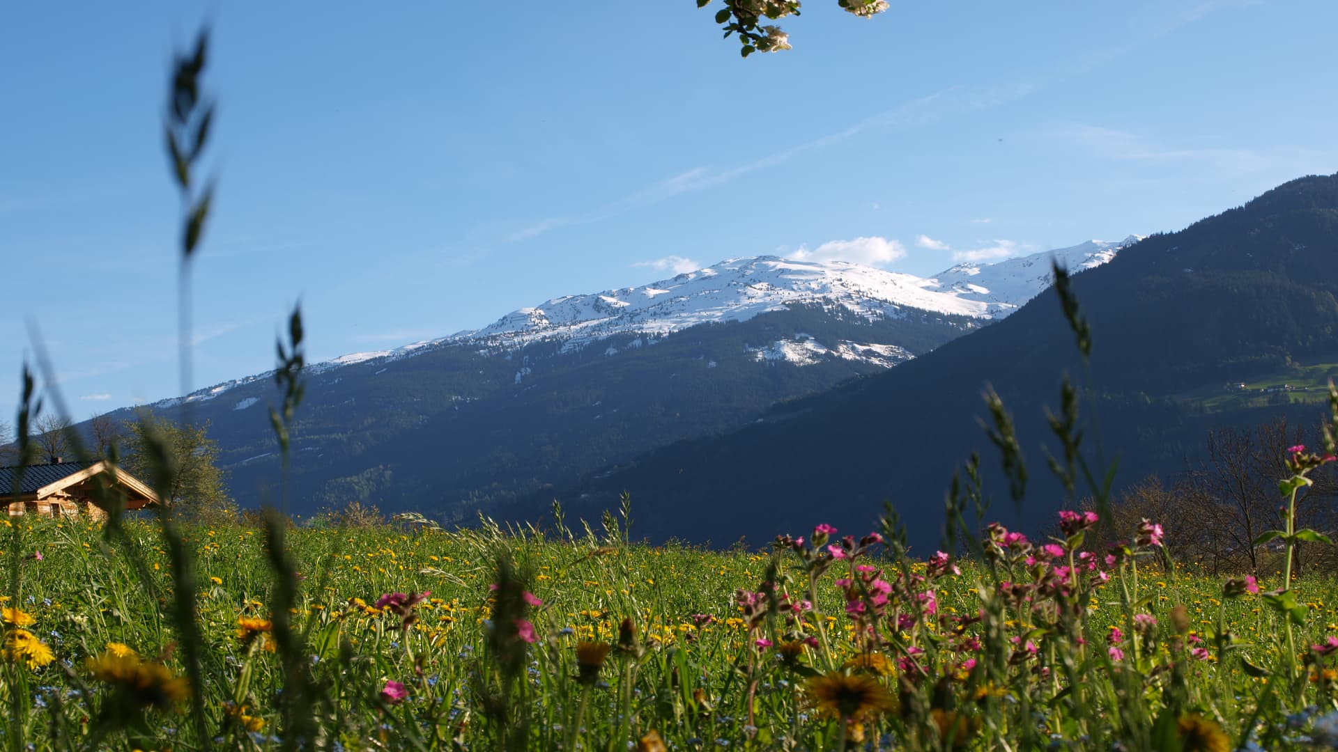 Villa Chalet Retreat, Rental in Tyrol