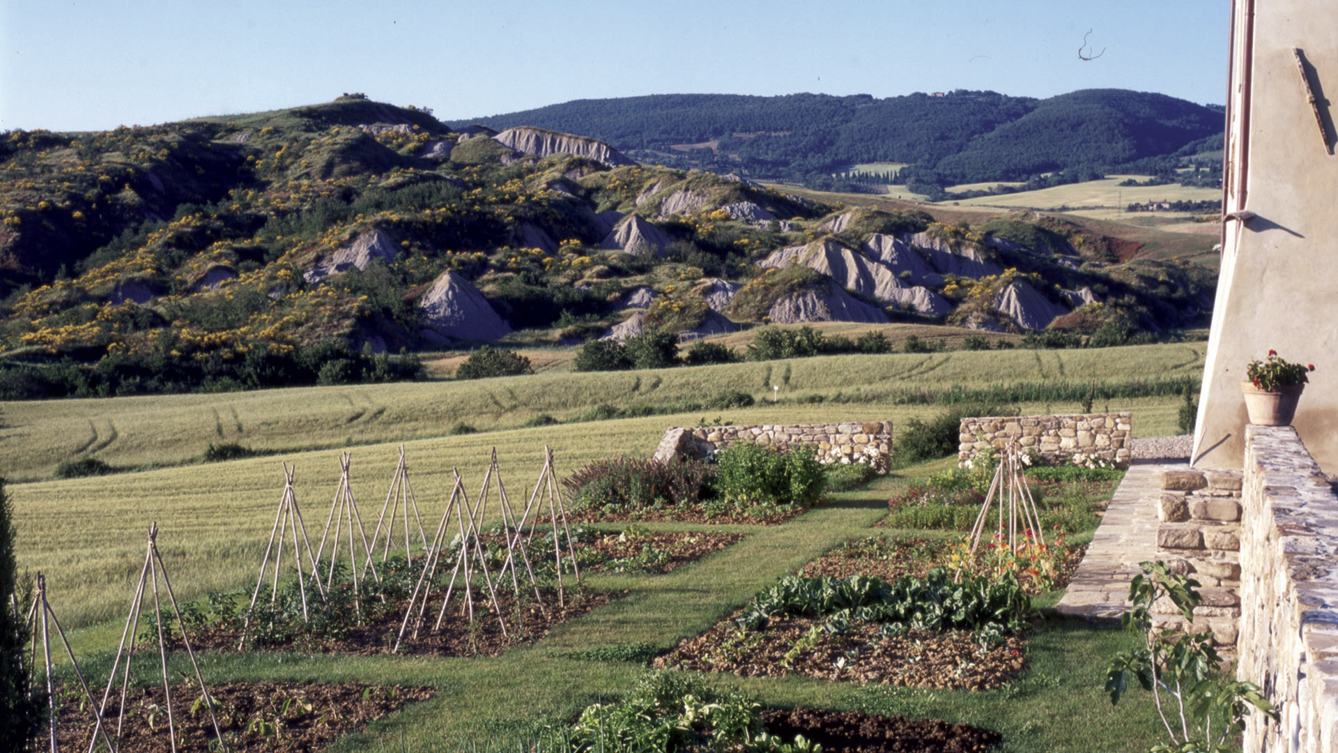 Podere Case - Image 7