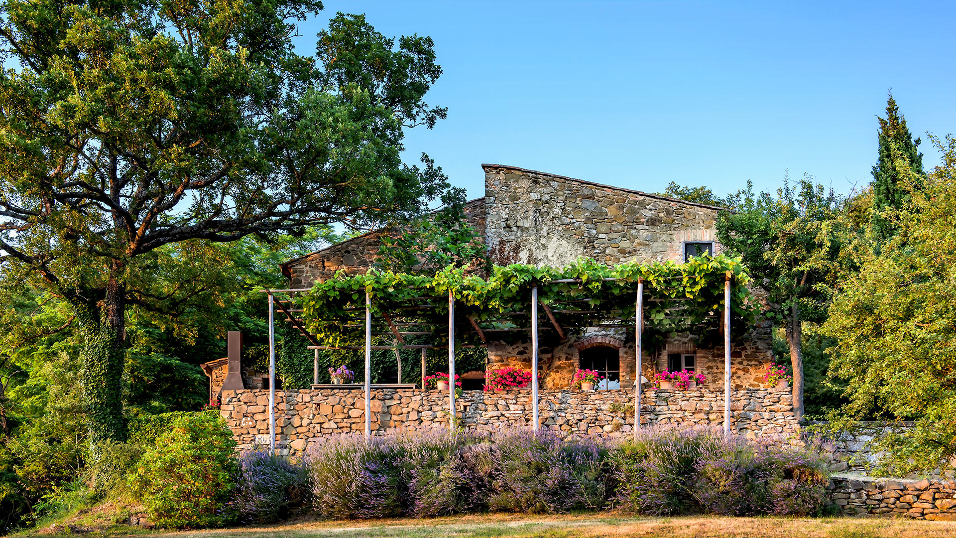 Podere Bachi - Image 2
