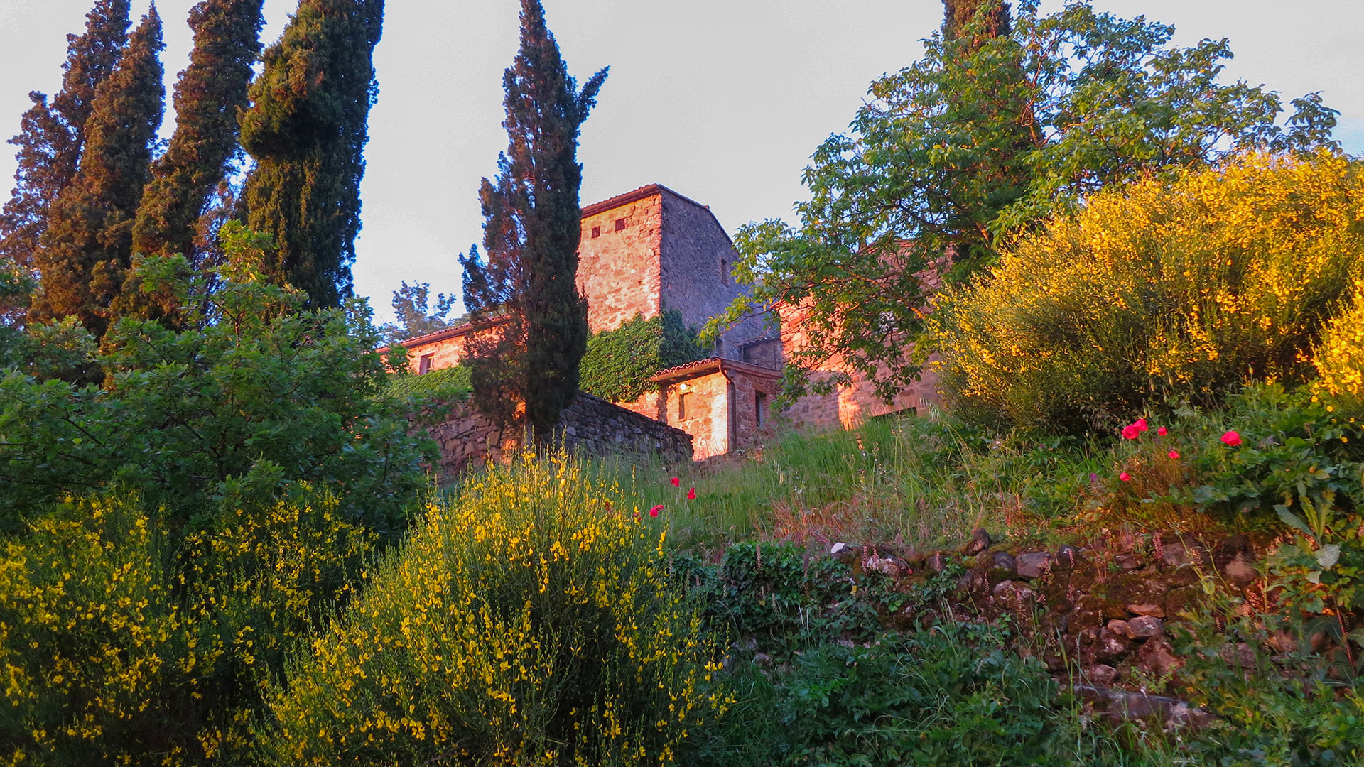 Podere Lazzo - Image 6